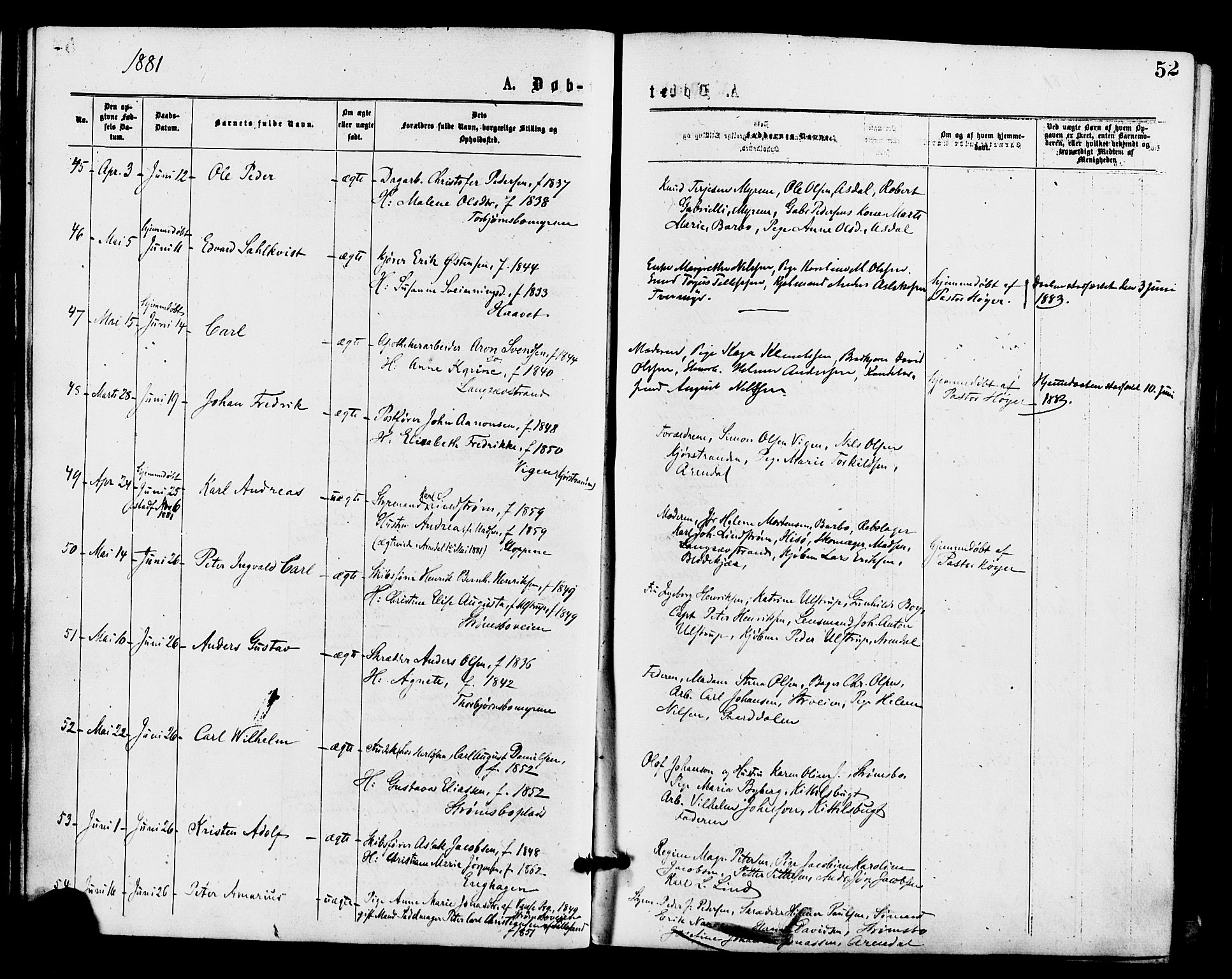 Barbu sokneprestkontor, AV/SAK-1111-0003/F/Fa/L0001: Parish register (official) no. A 1 /1, 1878-1883, p. 52