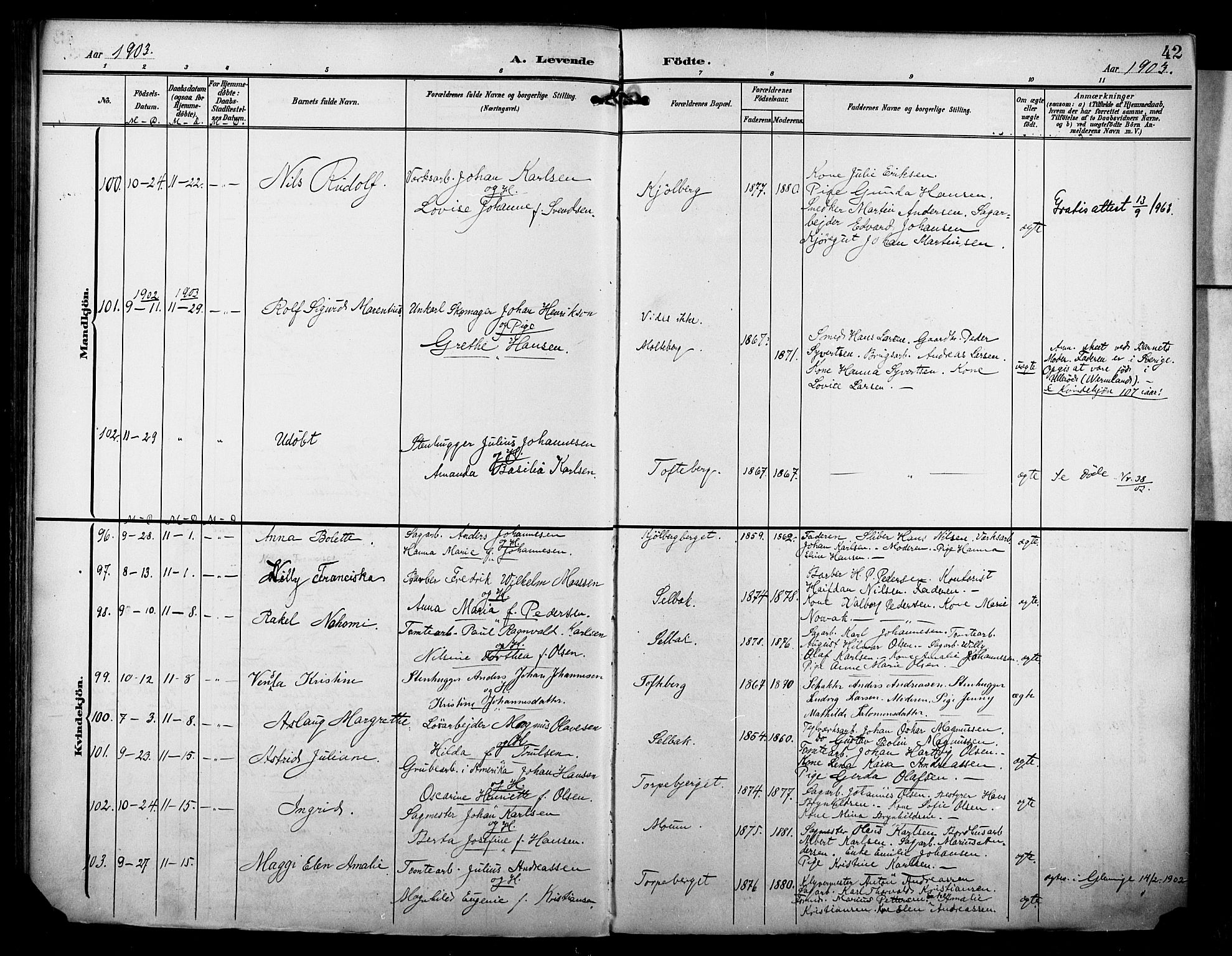 Borge prestekontor Kirkebøker, AV/SAO-A-10903/F/Fa/L0009: Parish register (official) no. I 9, 1902-1911, p. 42
