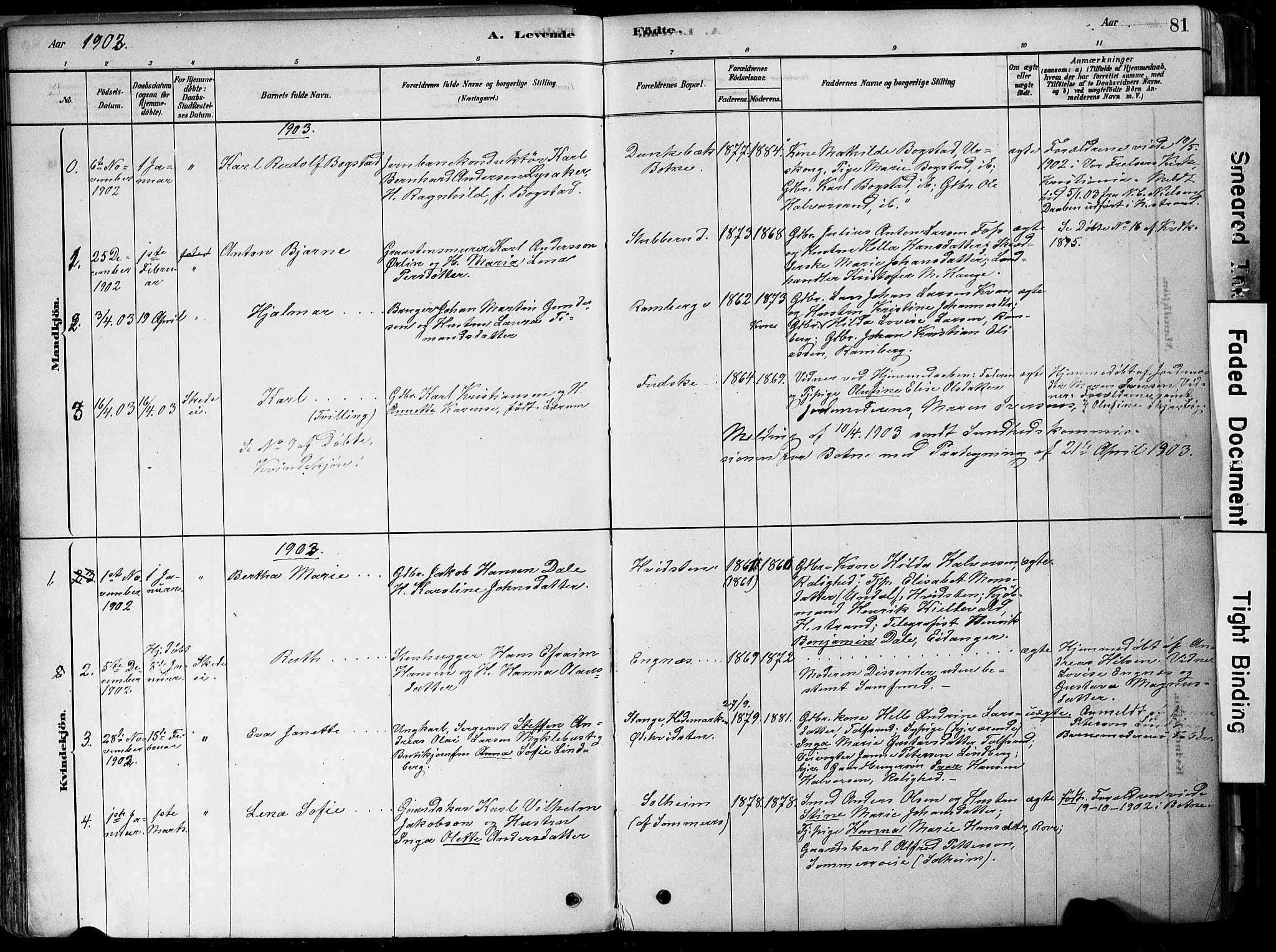 Botne kirkebøker, SAKO/A-340/F/Fa/L0007: Parish register (official) no. I 7, 1878-1910, p. 81