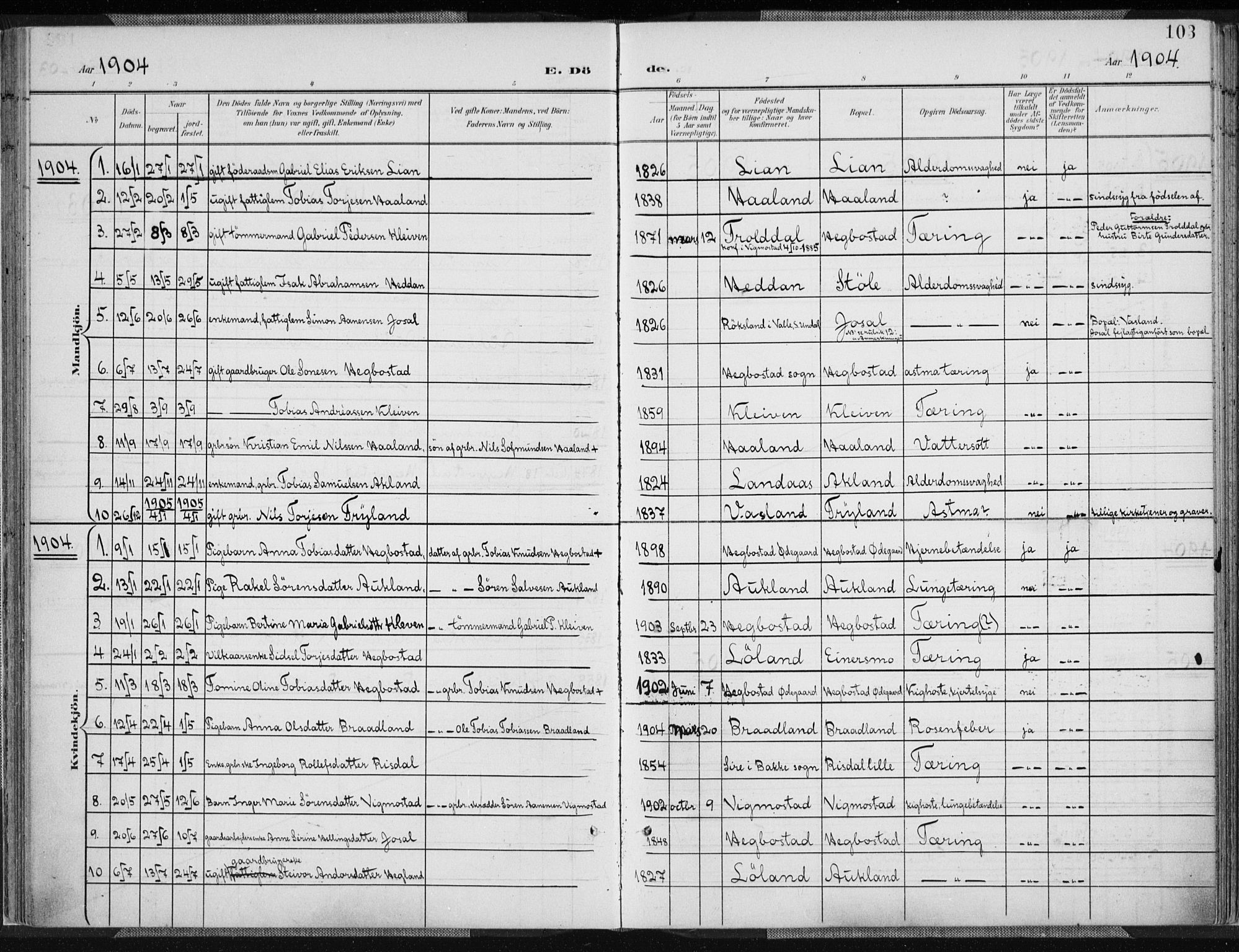 Nord-Audnedal sokneprestkontor, SAK/1111-0032/F/Fa/Fab/L0004: Parish register (official) no. A 4, 1901-1917, p. 103