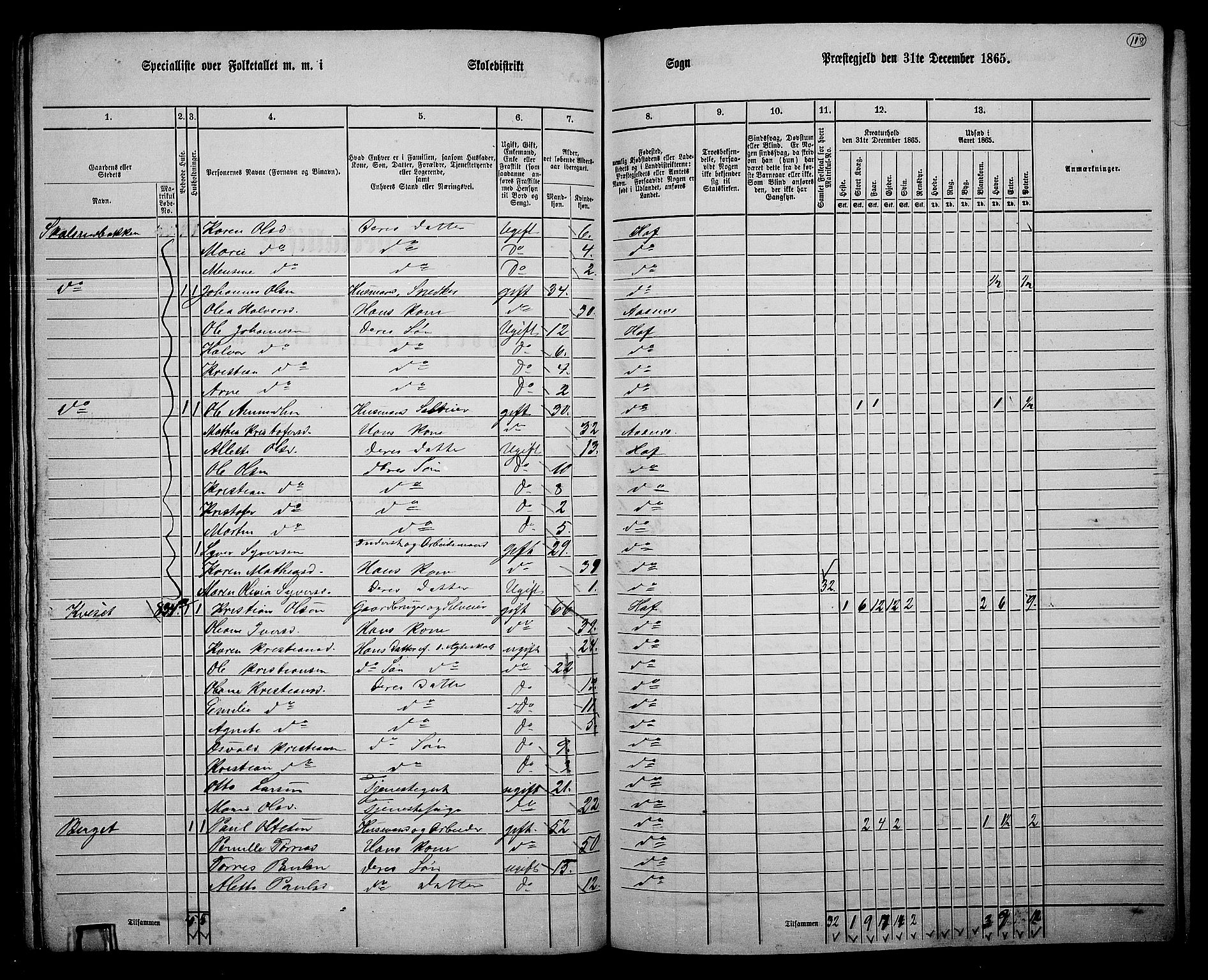 RA, 1865 census for Hof, 1865, p. 110