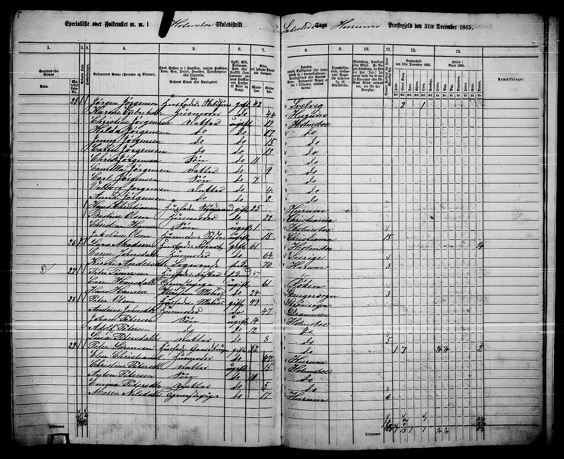 RA, 1865 census for Hurum, 1865, p. 111