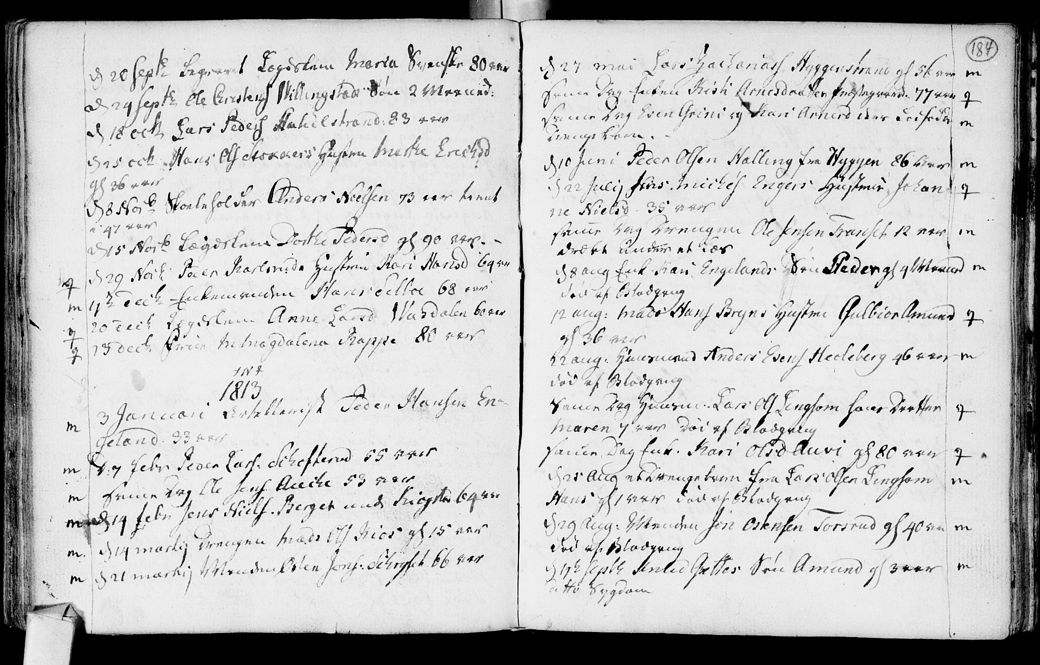 Røyken kirkebøker, SAKO/A-241/F/Fa/L0003: Parish register (official) no. 3, 1782-1813, p. 184
