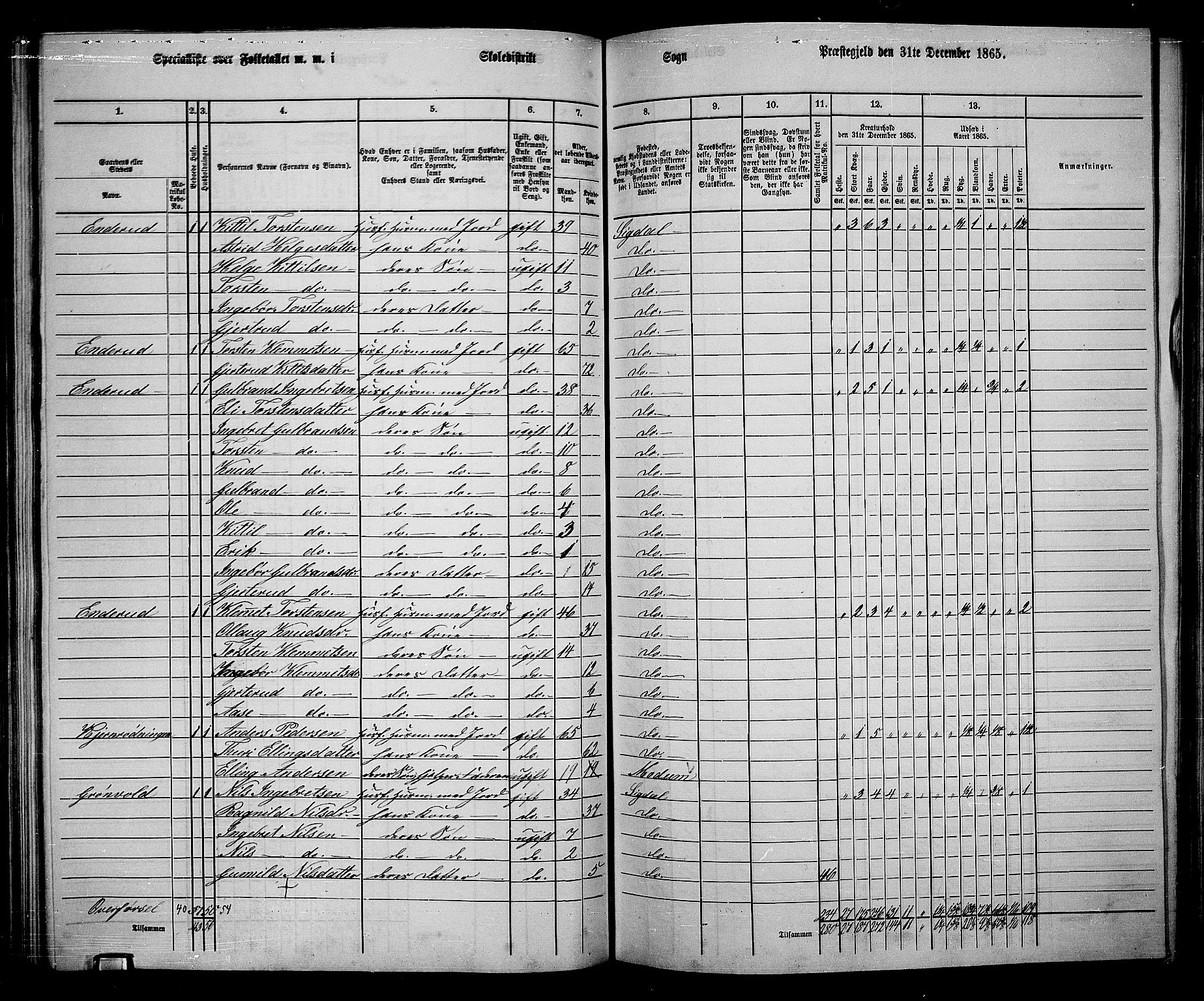 RA, 1865 census for Sigdal, 1865, p. 151