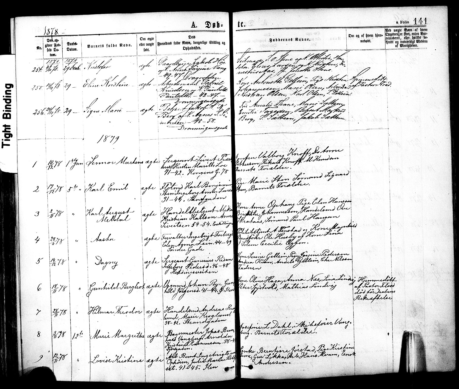 Ministerialprotokoller, klokkerbøker og fødselsregistre - Sør-Trøndelag, SAT/A-1456/602/L0118: Parish register (official) no. 602A16, 1873-1879, p. 141
