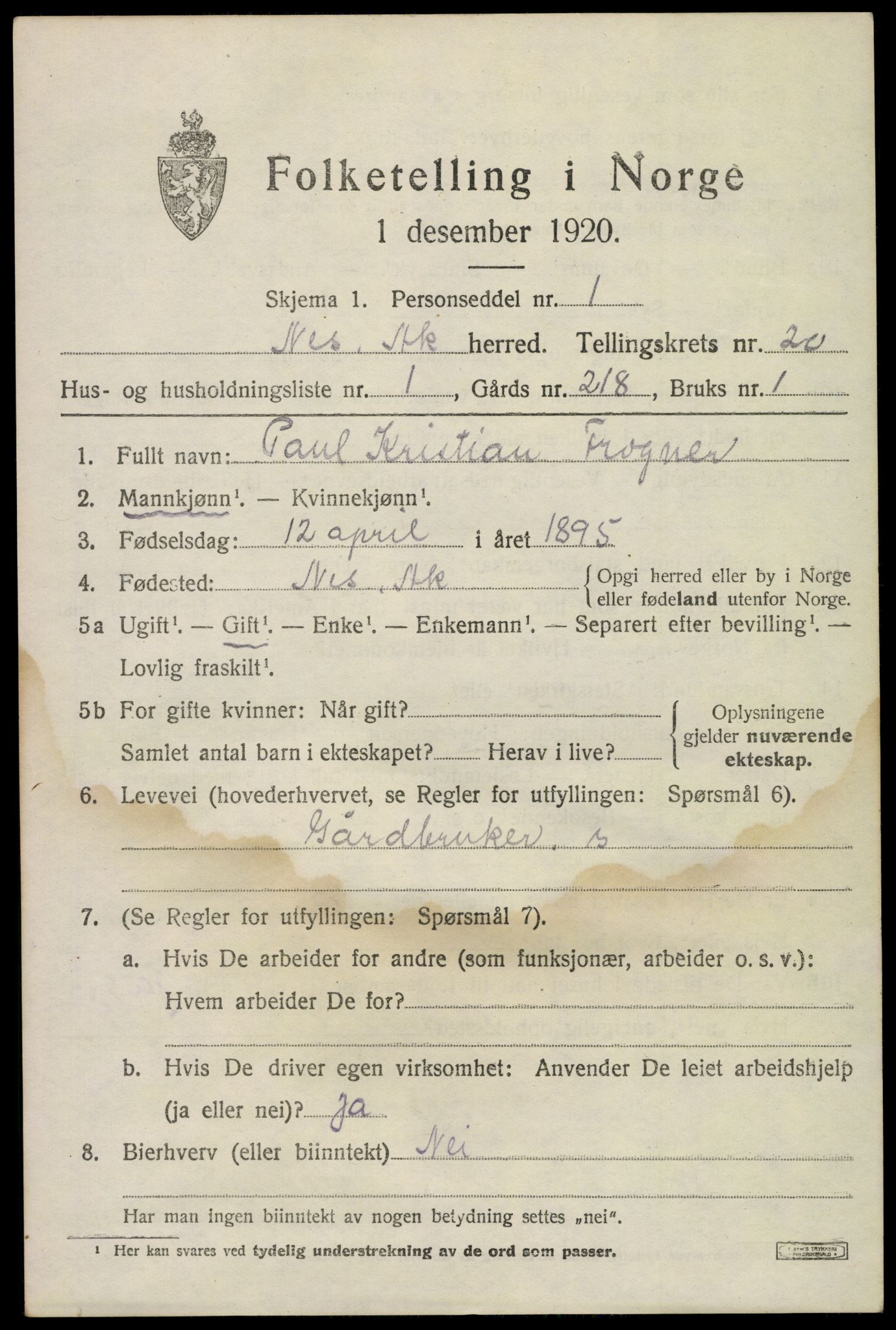 SAO, 1920 census for Nes, 1920, p. 21064