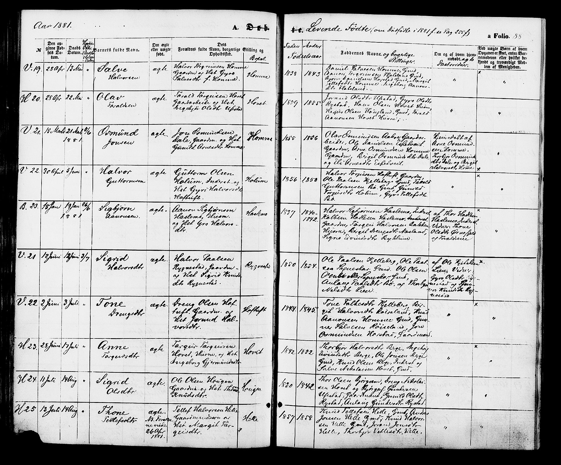 Valle sokneprestkontor, AV/SAK-1111-0044/F/Fa/Fac/L0008: Parish register (official) no. A 8, 1868-1882, p. 88