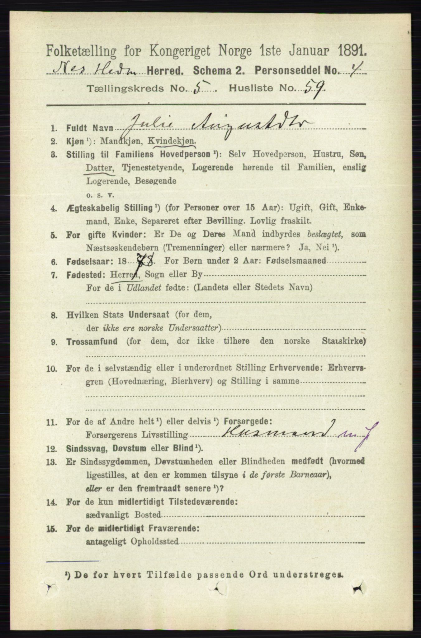 RA, 1891 census for 0411 Nes, 1891, p. 2982