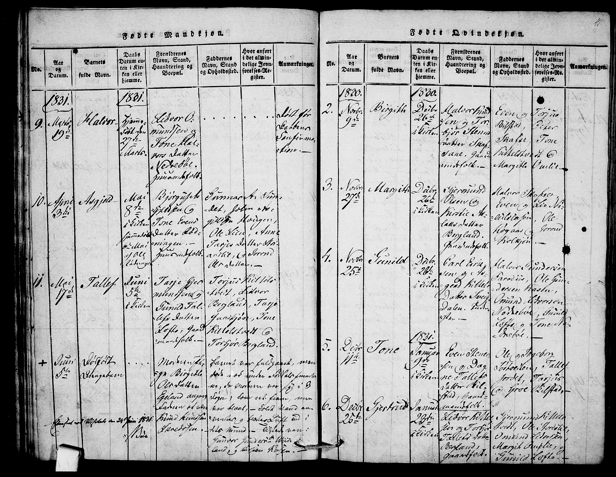 Mo kirkebøker, SAKO/A-286/F/Fb/L0001: Parish register (official) no. II 1, 1814-1844, p. 41