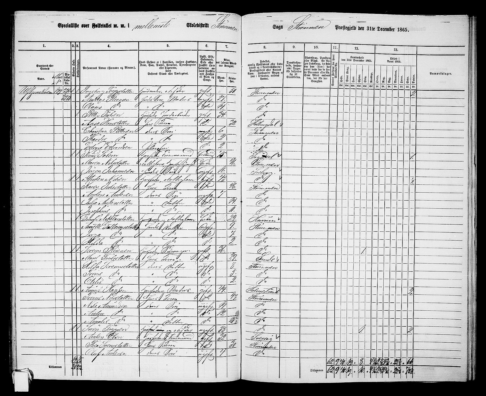 RA, 1865 census for Strømm, 1865, p. 20