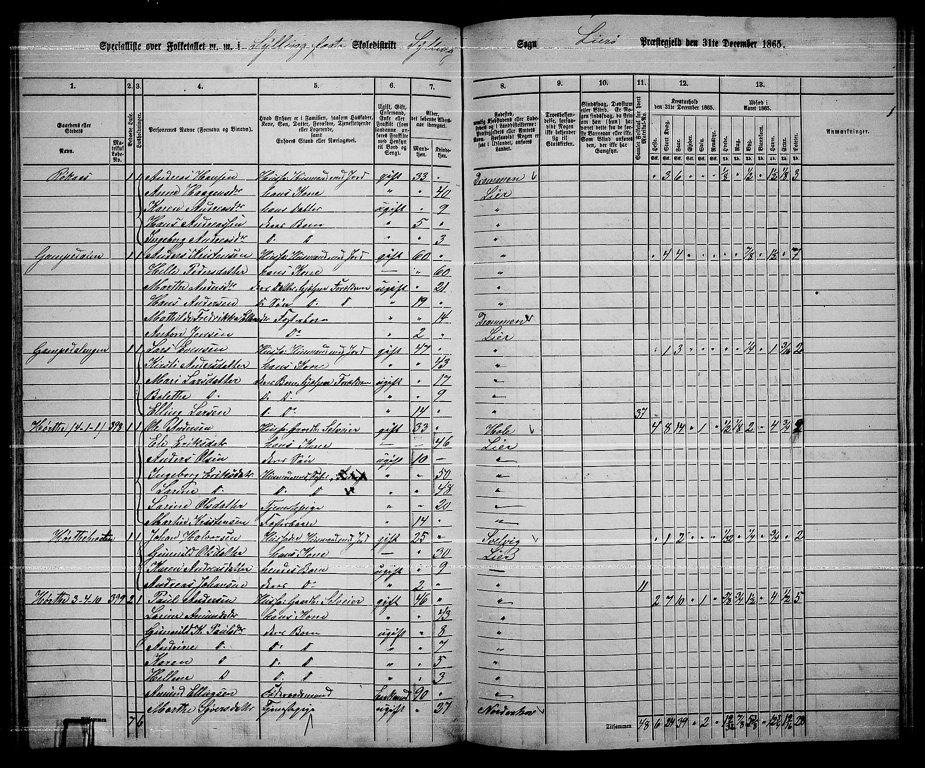 RA, 1865 census for Lier, 1865, p. 222