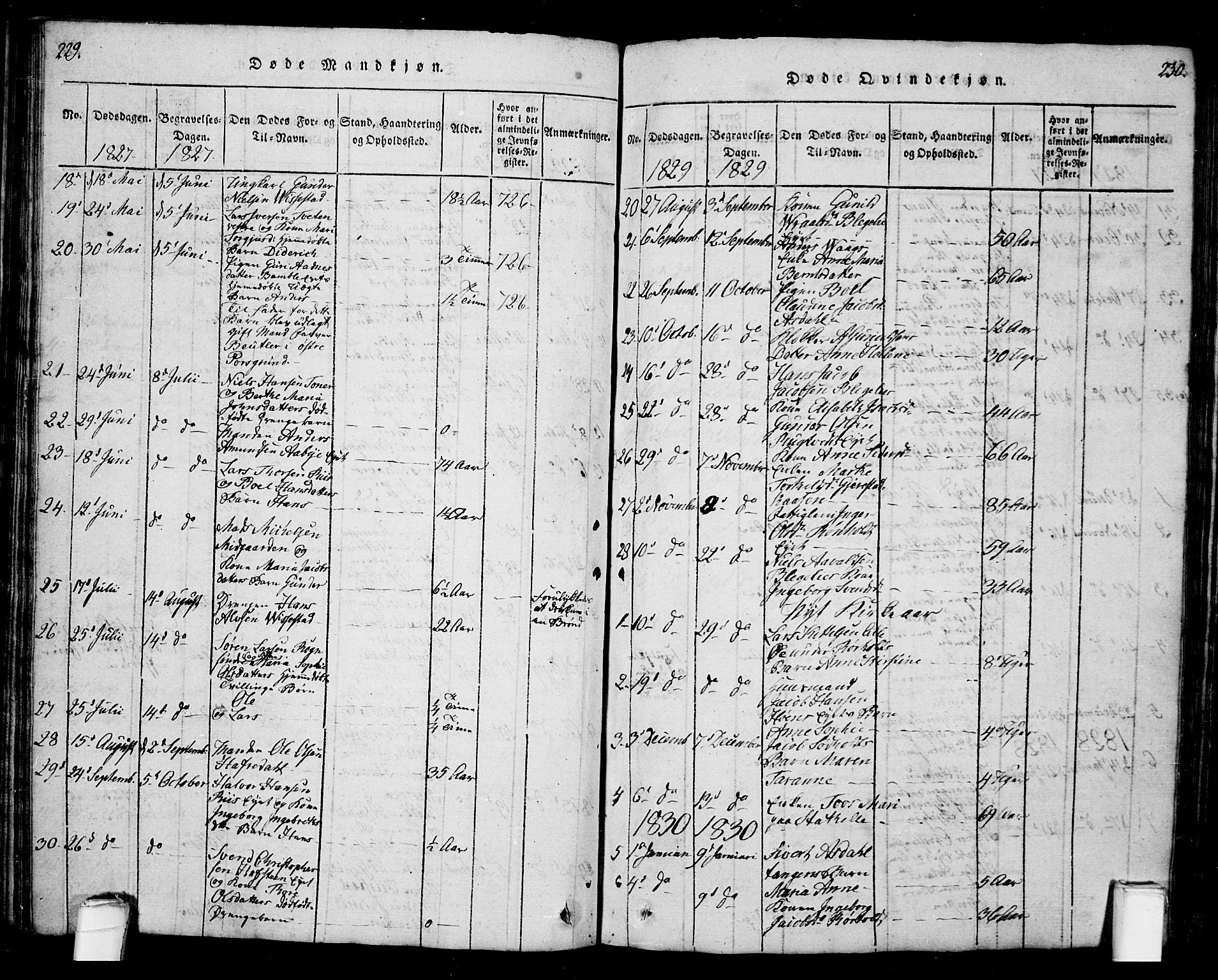 Bamble kirkebøker, AV/SAKO-A-253/G/Ga/L0005: Parish register (copy) no. I 5, 1814-1855, p. 229-230