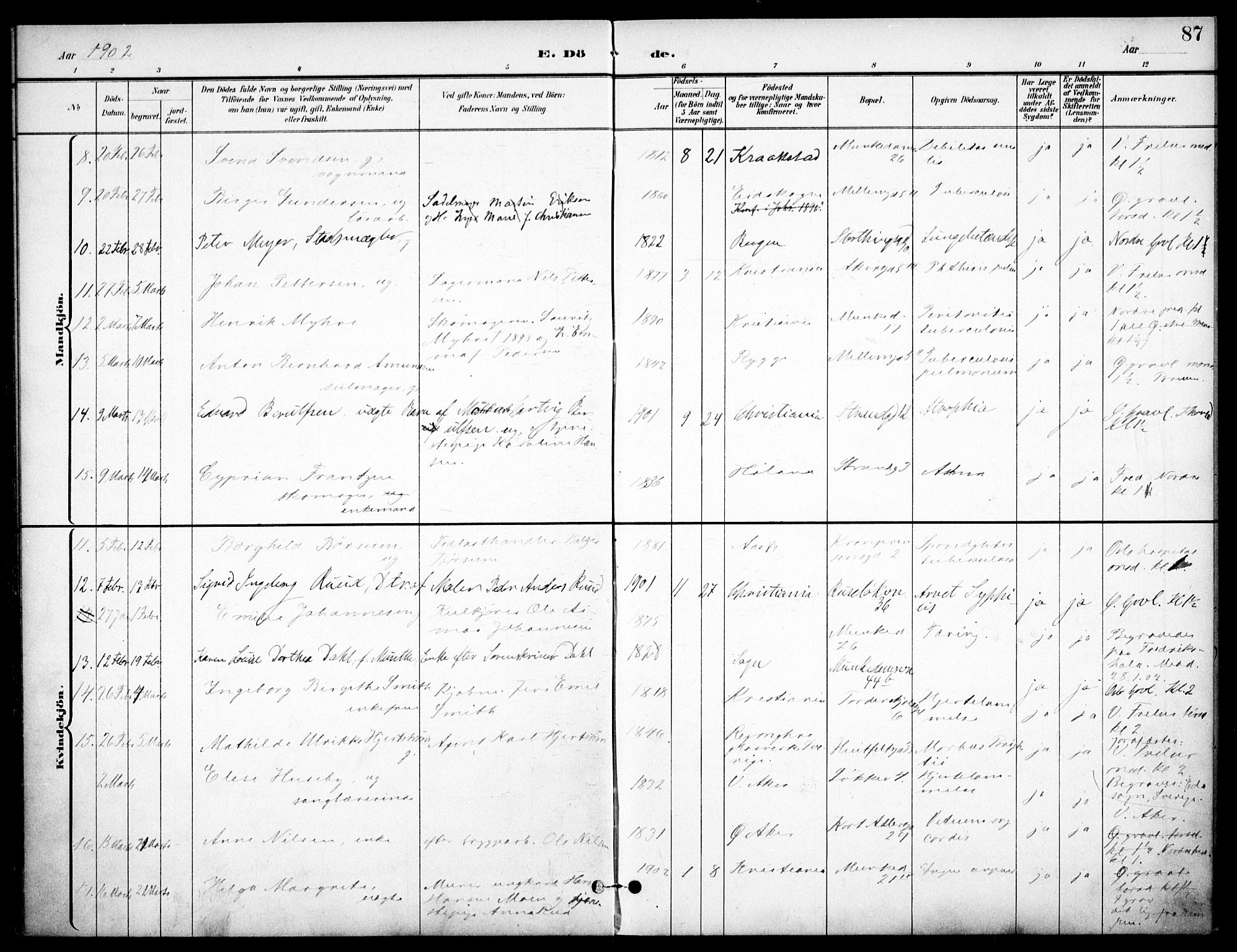 Johannes prestekontor Kirkebøker, SAO/A-10852/F/Fa/L0008: Parish register (official) no. 8, 1897-1917, p. 87