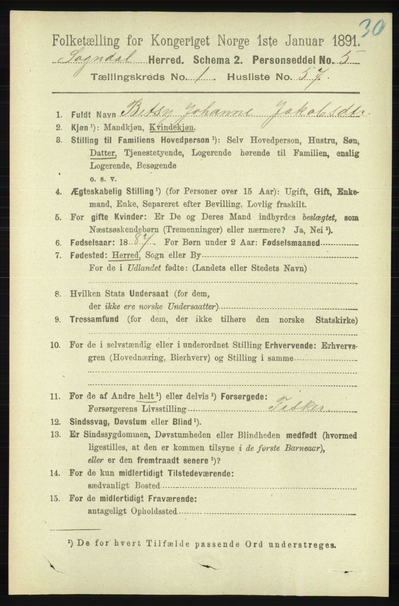 RA, 1891 census for 1111 Sokndal, 1891, p. 419