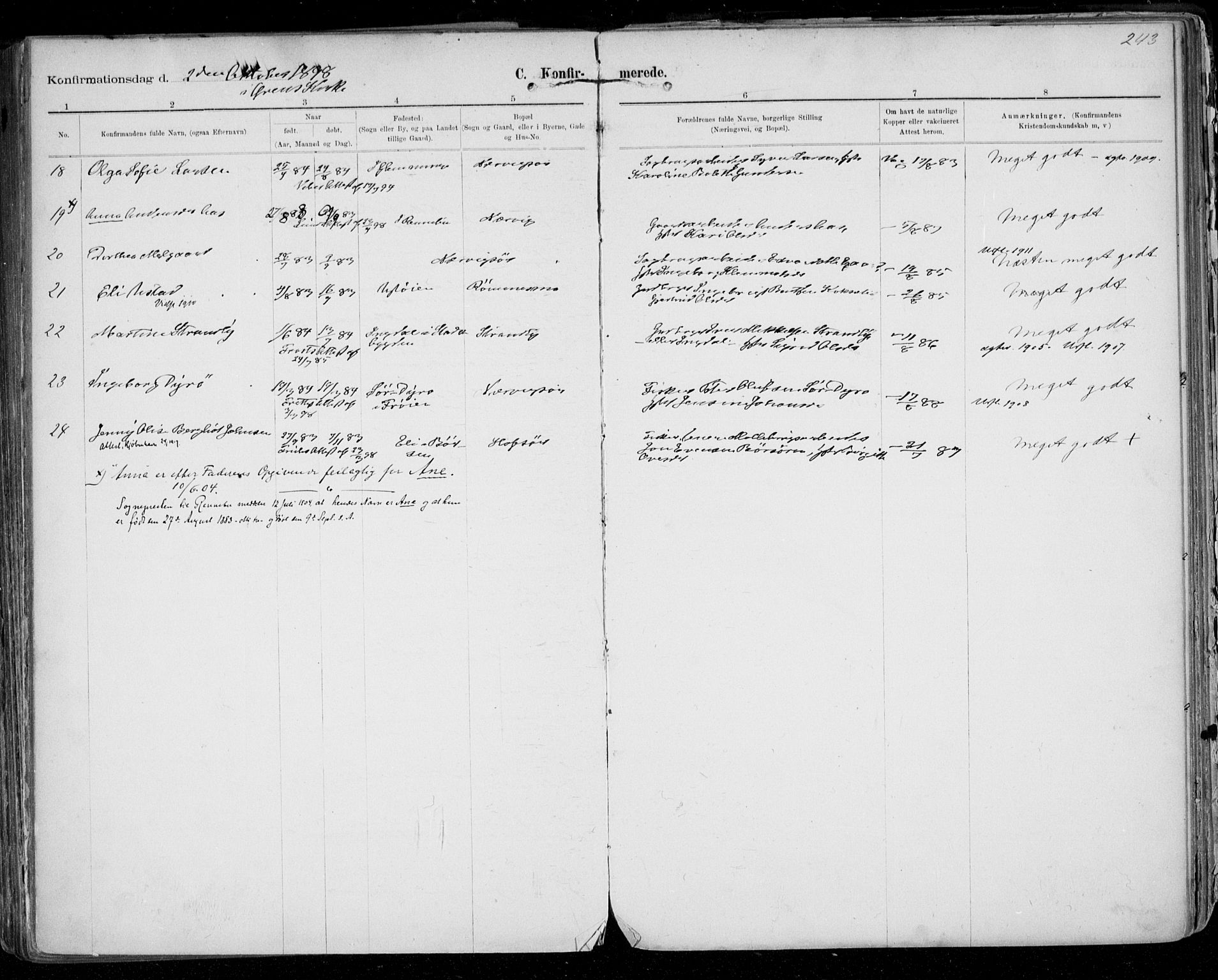 Ministerialprotokoller, klokkerbøker og fødselsregistre - Sør-Trøndelag, SAT/A-1456/668/L0811: Parish register (official) no. 668A11, 1894-1913, p. 243