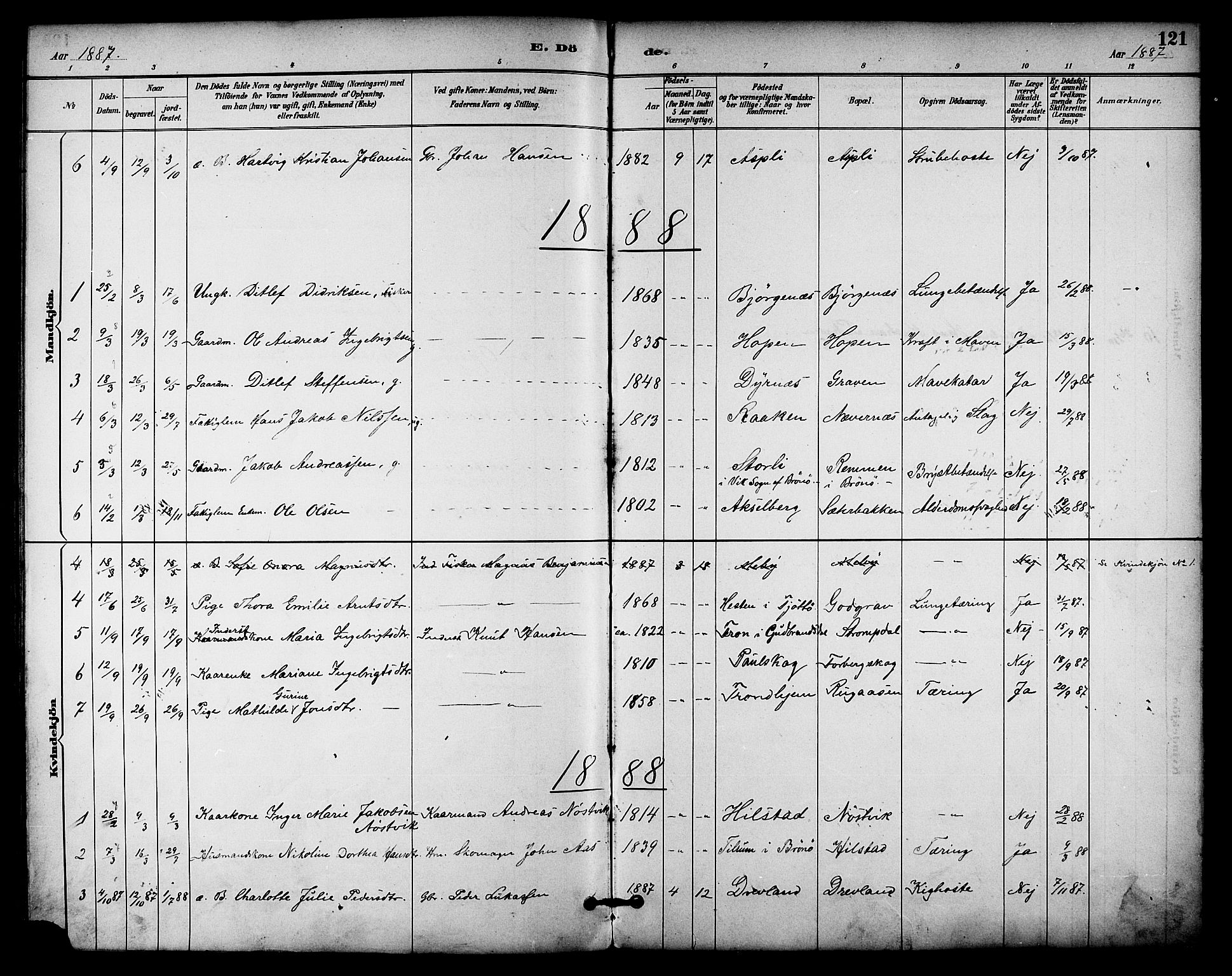 Ministerialprotokoller, klokkerbøker og fødselsregistre - Nordland, AV/SAT-A-1459/814/L0226: Parish register (official) no. 814A07, 1886-1898, p. 121