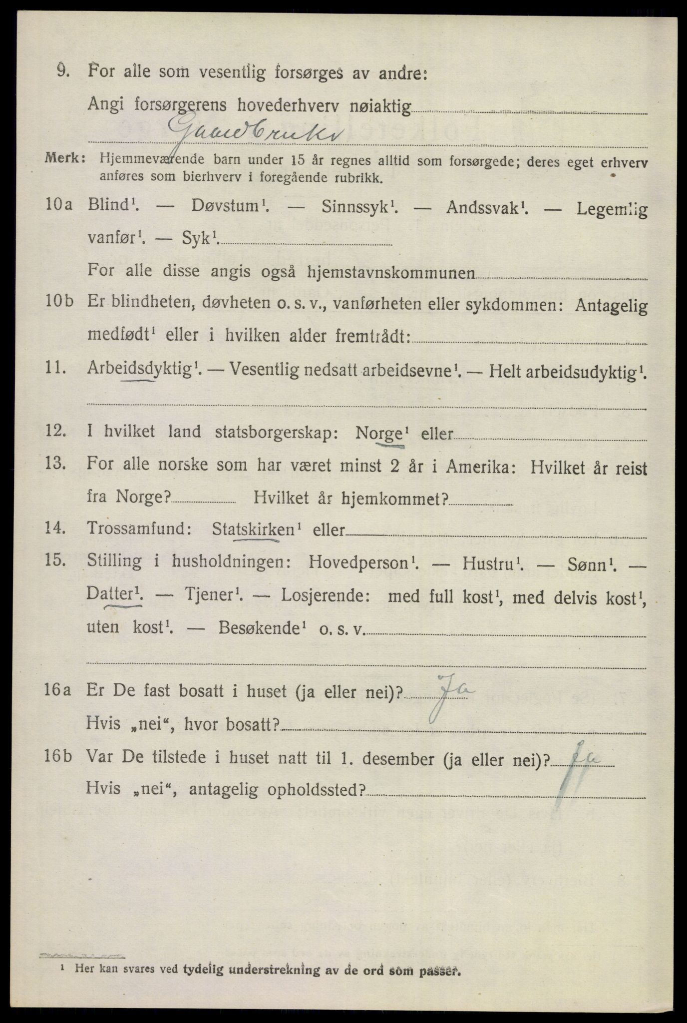 SAKO, 1920 census for Gol, 1920, p. 2207