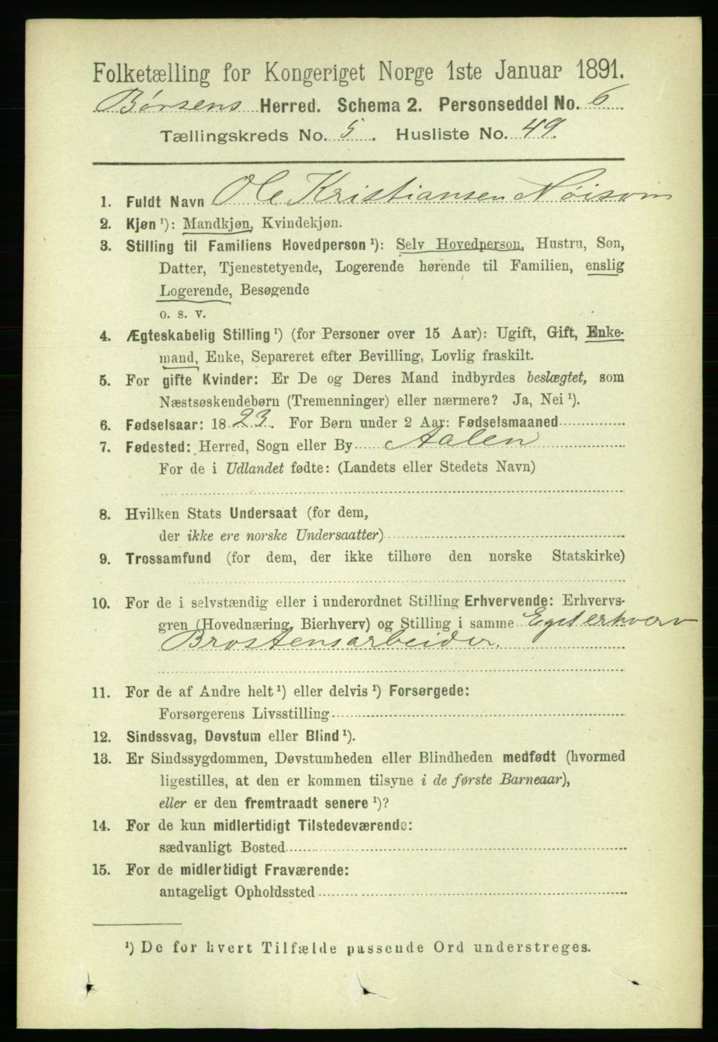 RA, 1891 census for 1658 Børsa, 1891, p. 2260