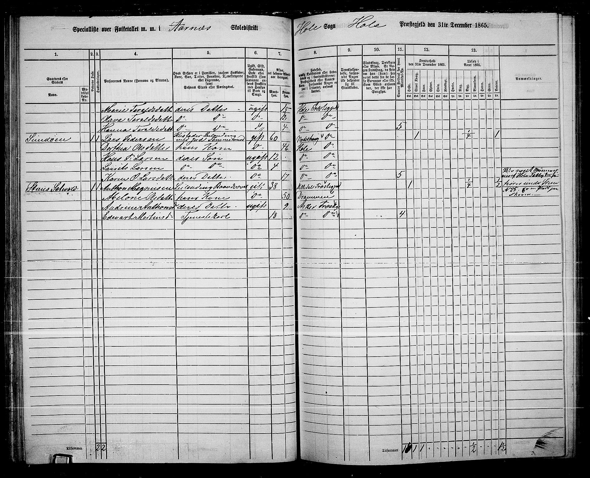 RA, 1865 census for Hole, 1865, p. 68