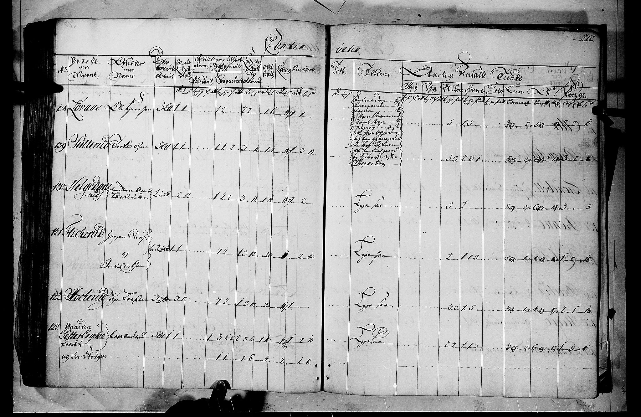 Rentekammeret inntil 1814, Realistisk ordnet avdeling, AV/RA-EA-4070/N/Nb/Nbf/L0102: Solør, Østerdalen og Odal matrikkelprotokoll, 1723, p. 201b-202a