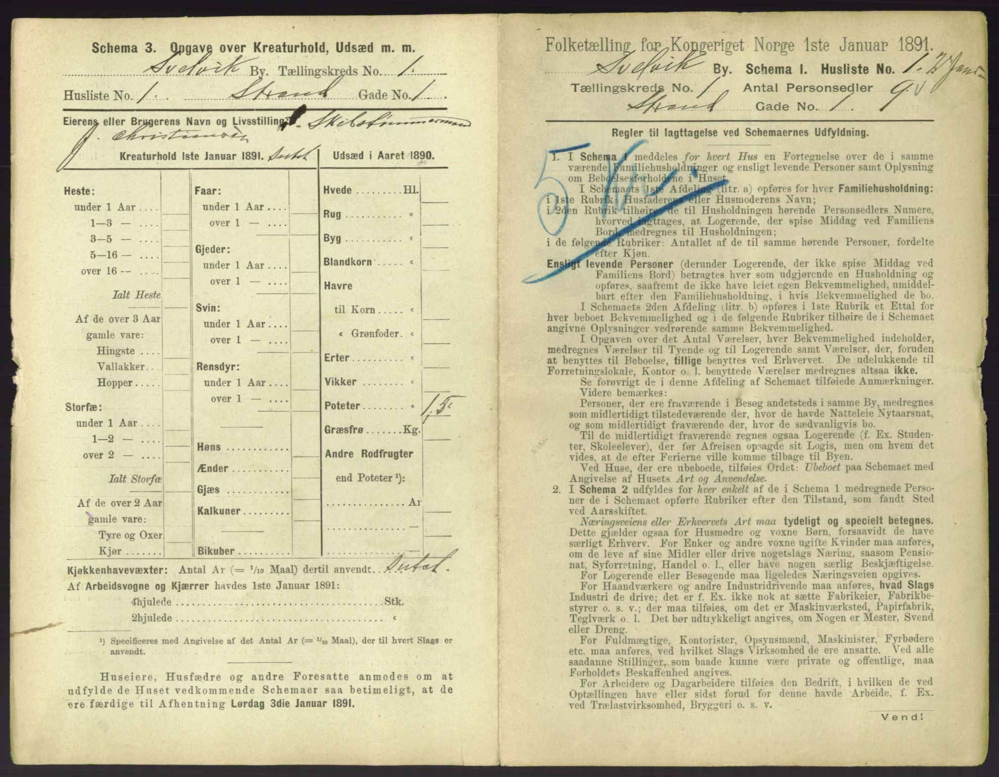 RA, 1891 census for 0701 Svelvik, 1891, p. 18