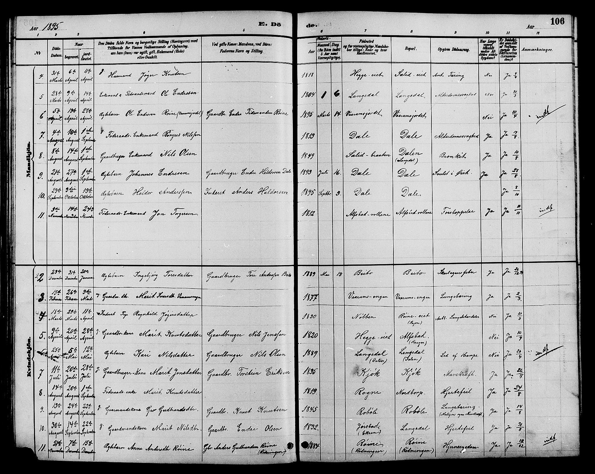 Øystre Slidre prestekontor, AV/SAH-PREST-138/H/Ha/Hab/L0004: Parish register (copy) no. 4, 1887-1907, p. 106