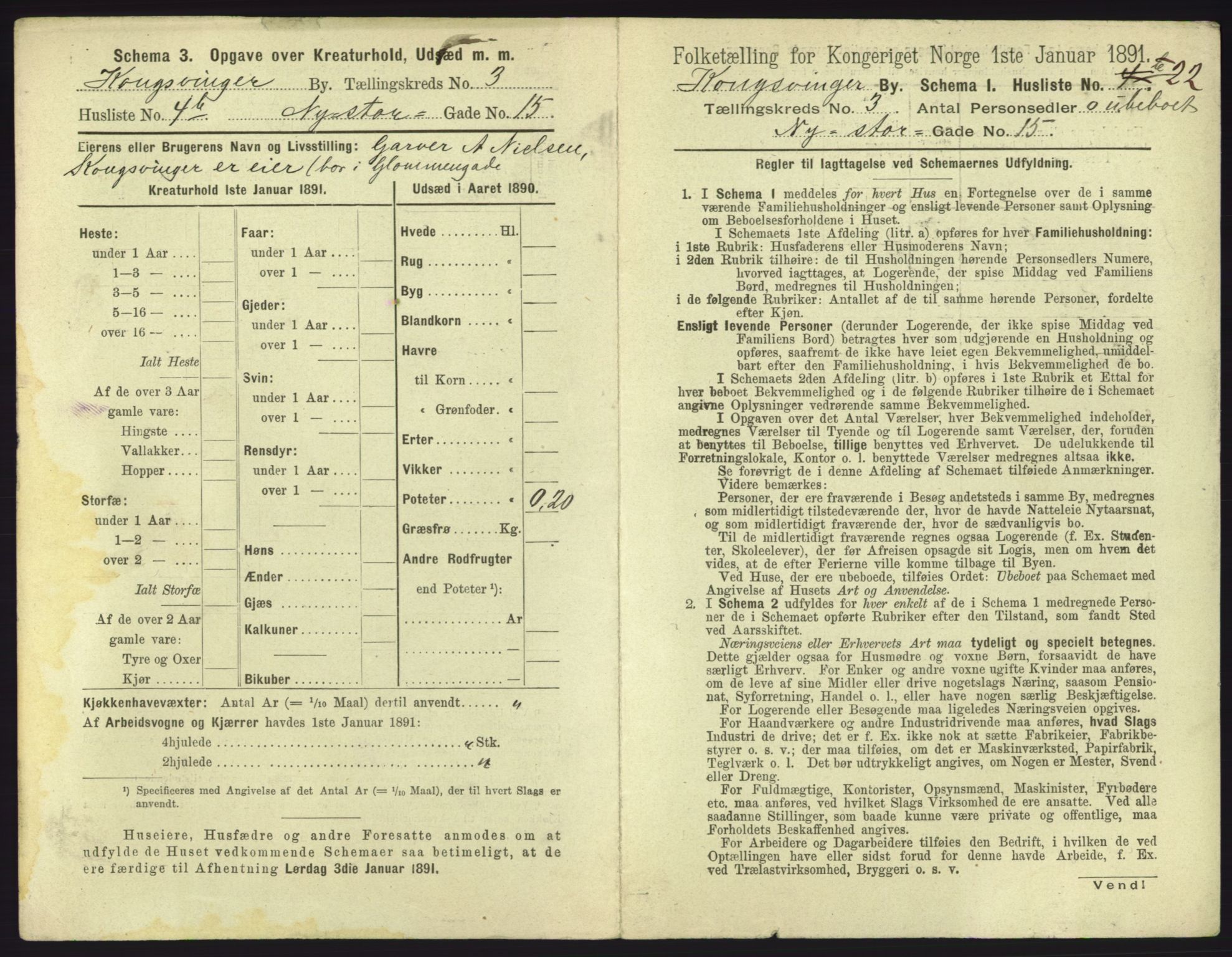 RA, 1891 census for 0402 Kongsvinger, 1891, p. 245