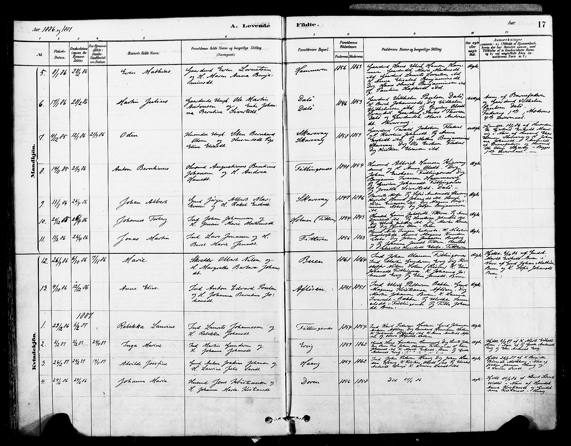 Ministerialprotokoller, klokkerbøker og fødselsregistre - Sør-Trøndelag, SAT/A-1456/641/L0595: Parish register (official) no. 641A01, 1882-1897, p. 17