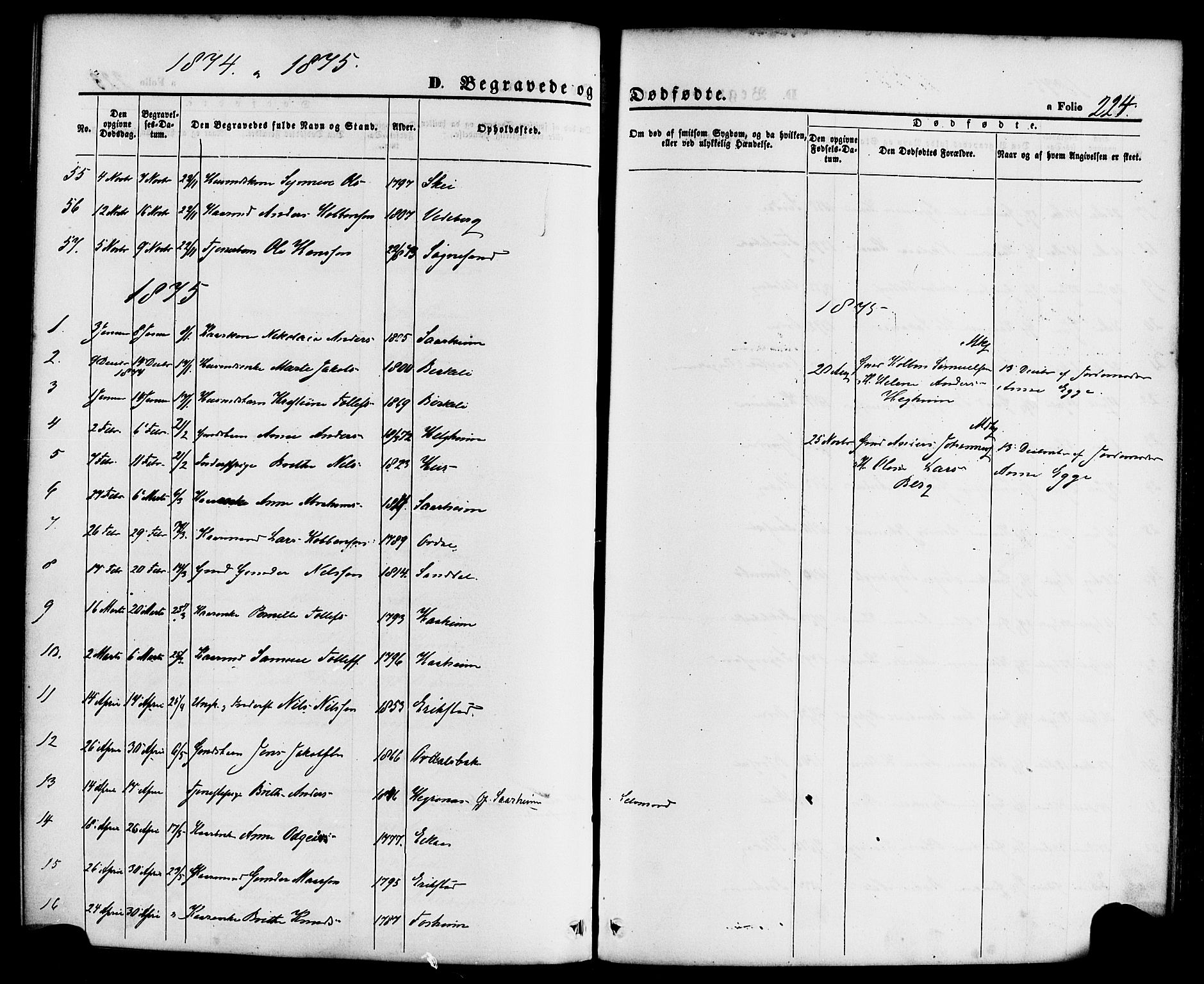 Jølster sokneprestembete, SAB/A-80701/H/Haa/Haaa/L0011: Parish register (official) no. A 11, 1866-1881, p. 224