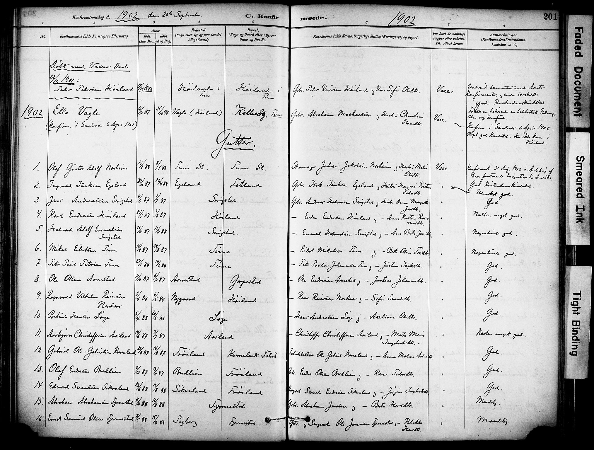 Lye sokneprestkontor, SAST/A-101794/001/30BA/L0011: Parish register (official) no. A 9, 1893-1903, p. 201