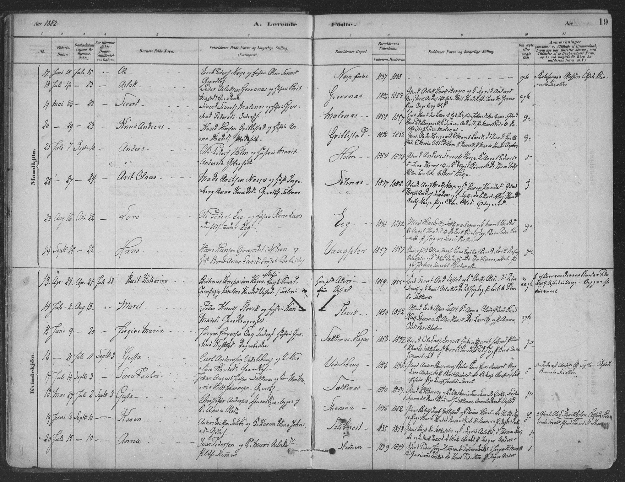 Ministerialprotokoller, klokkerbøker og fødselsregistre - Møre og Romsdal, SAT/A-1454/547/L0604: Parish register (official) no. 547A06, 1878-1906, p. 19