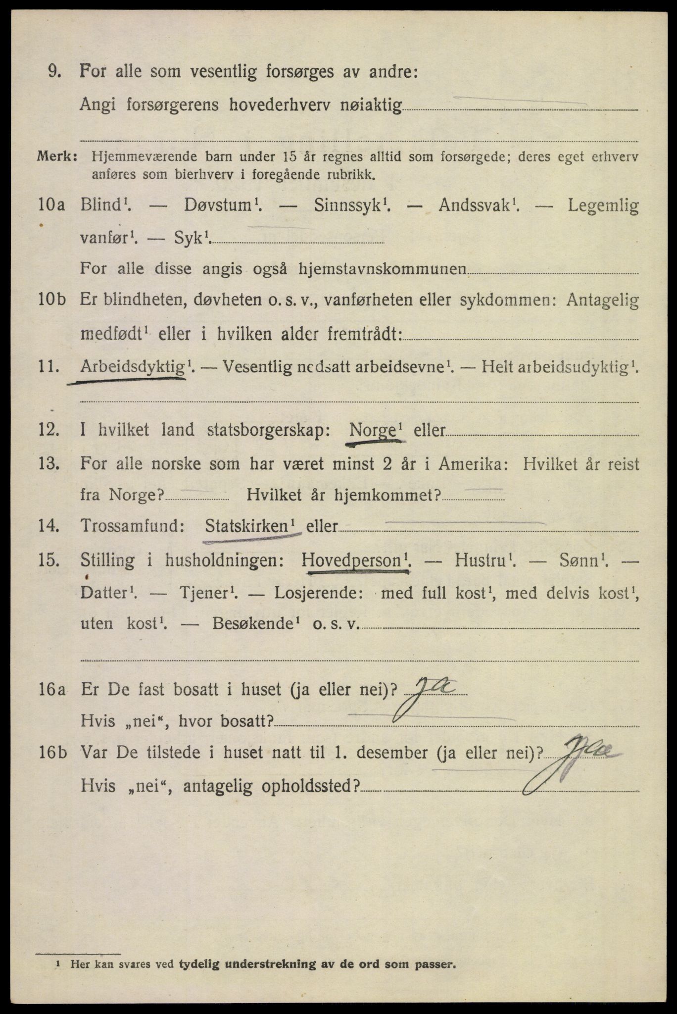 SAKO, 1920 census for Borre, 1920, p. 1551