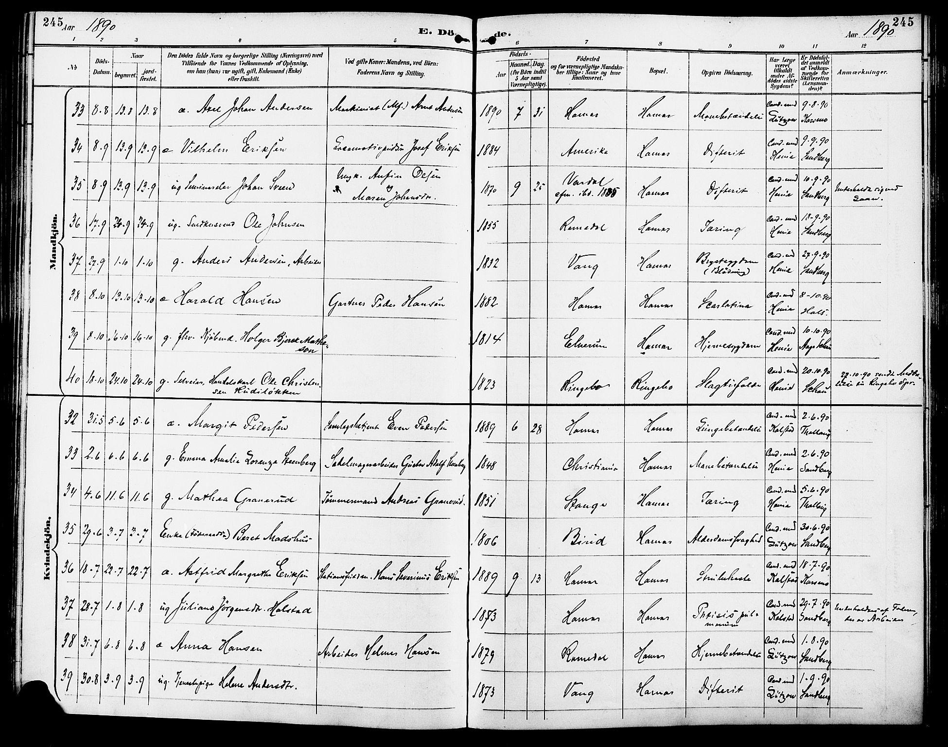 Vang prestekontor, Hedmark, SAH/PREST-008/H/Ha/Haa/L0017: Parish register (official) no. 17, 1890-1899, p. 245