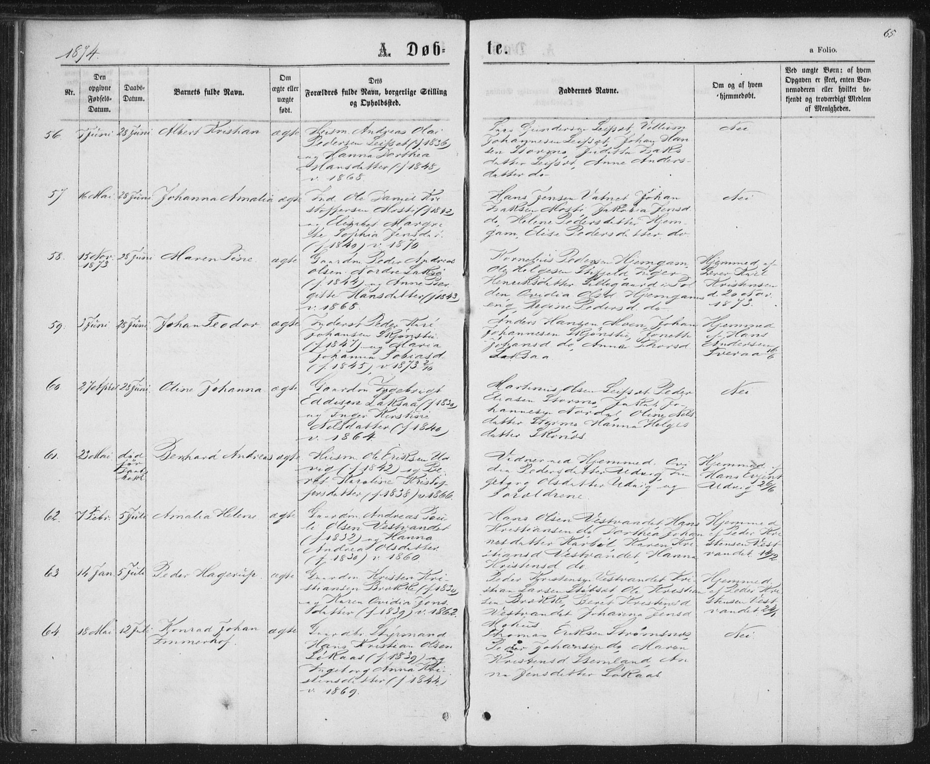 Ministerialprotokoller, klokkerbøker og fødselsregistre - Nordland, AV/SAT-A-1459/852/L0739: Parish register (official) no. 852A09, 1866-1877, p. 65