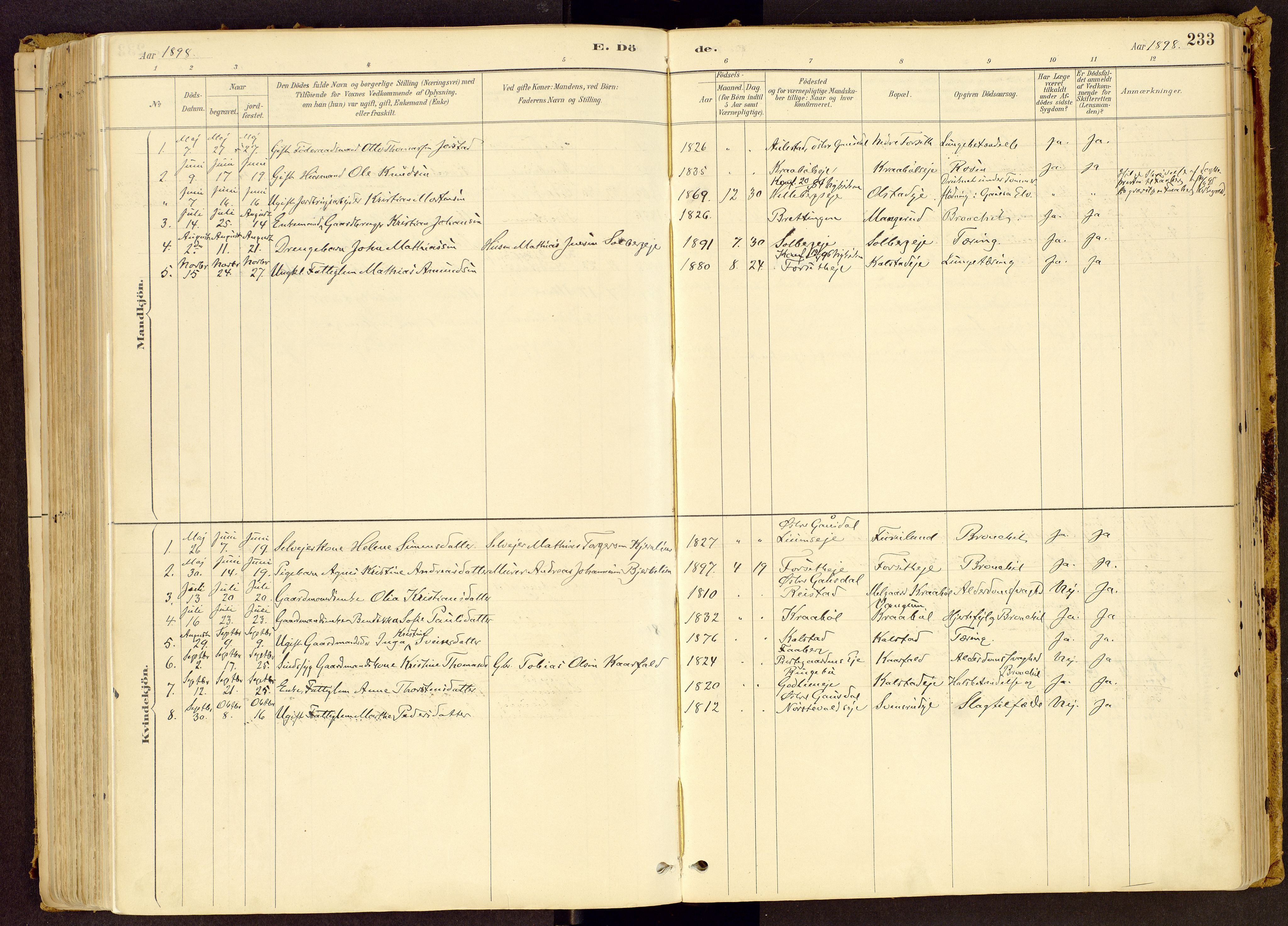 Vestre Gausdal prestekontor, SAH/PREST-094/H/Ha/Haa/L0001: Parish register (official) no. 1, 1887-1914, p. 233