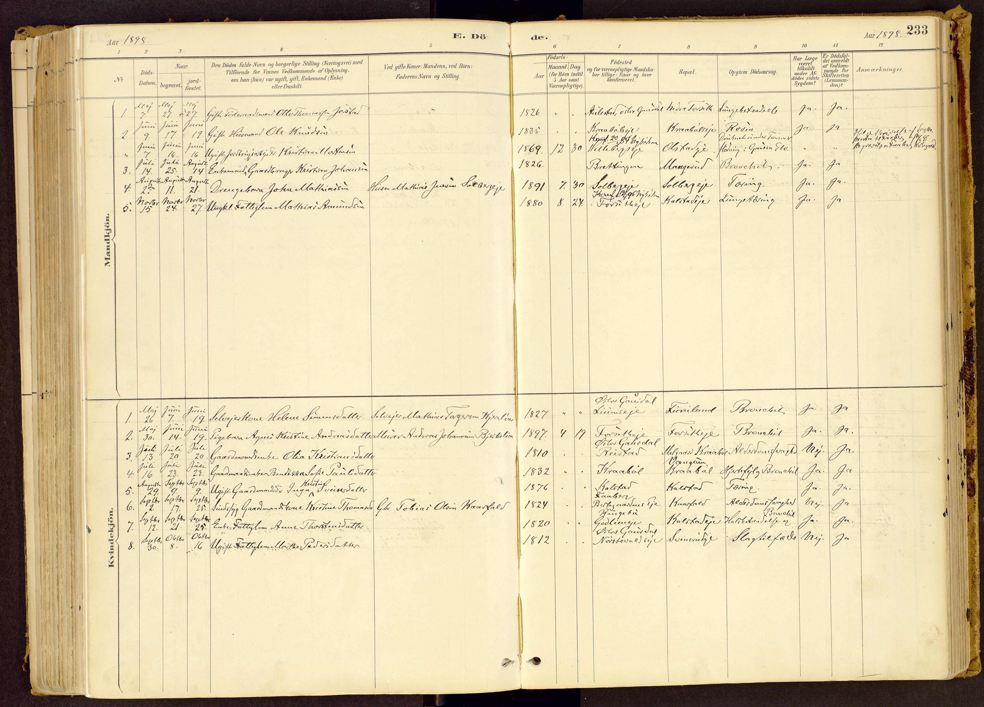 Vestre Gausdal prestekontor, AV/SAH-PREST-094/H/Ha/Haa/L0001: Parish register (official) no. 1, 1887-1914, p. 233