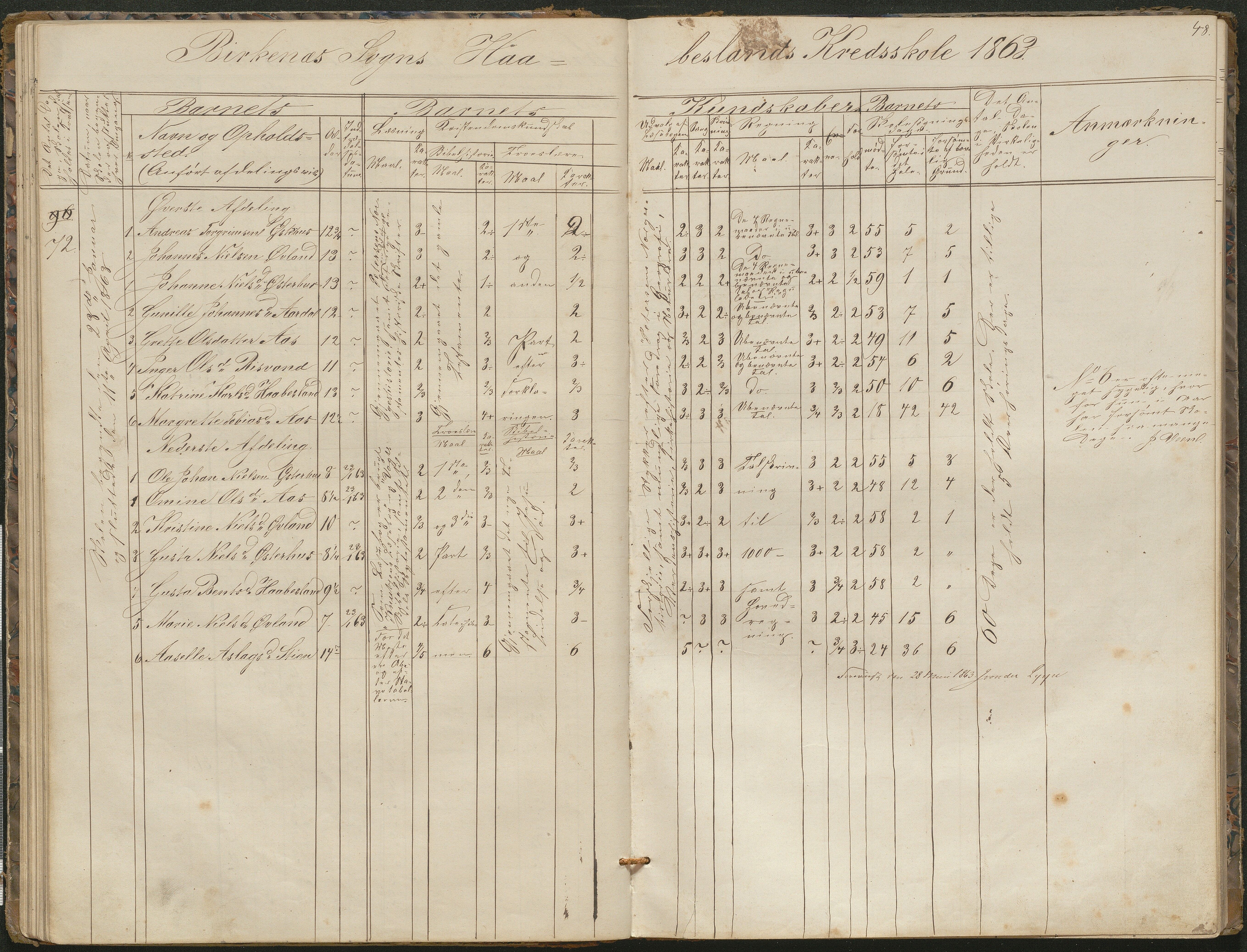 Birkenes kommune, Birkenes krets/Birkeland folkeskole frem til 1991, AAKS/KA0928-550a_91/F02/L0001: Skoleprotokoll, 1862-1896, p. 48