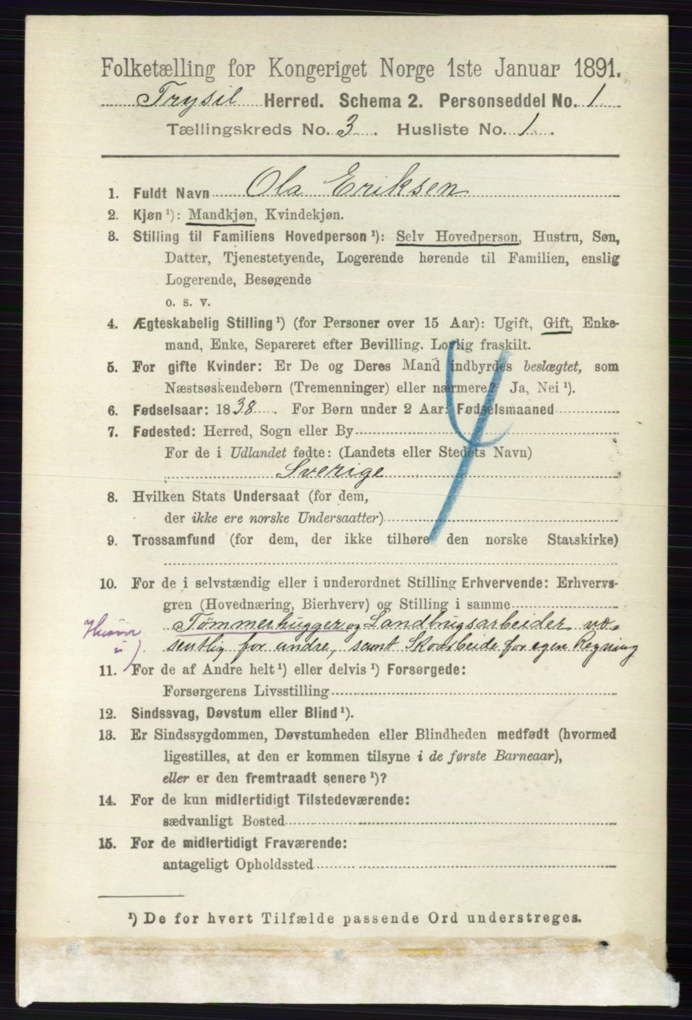 RA, 1891 census for 0428 Trysil, 1891, p. 1323