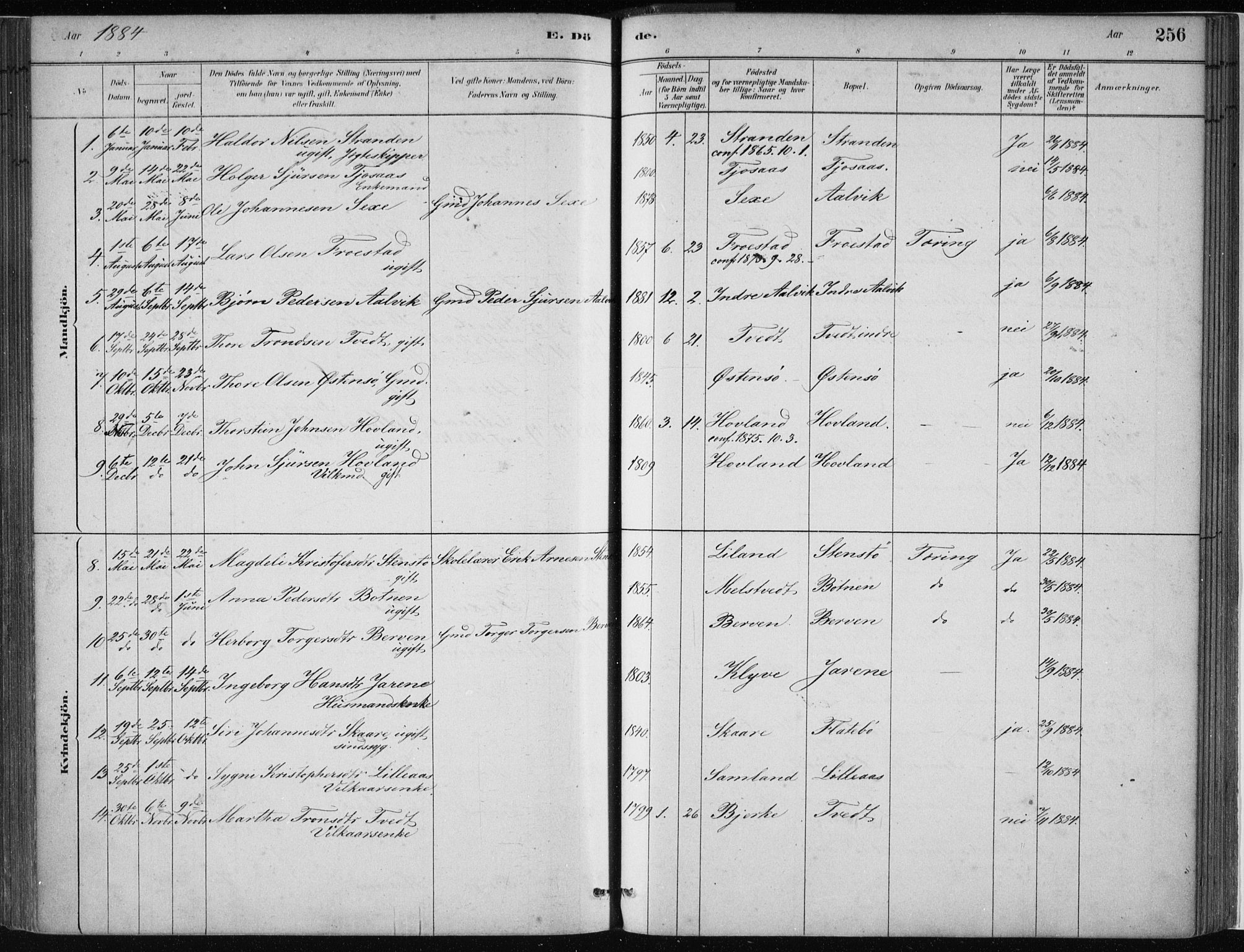 Kvam sokneprestembete, SAB/A-76201/H/Haa: Parish register (official) no. C  1, 1880-1906, p. 256