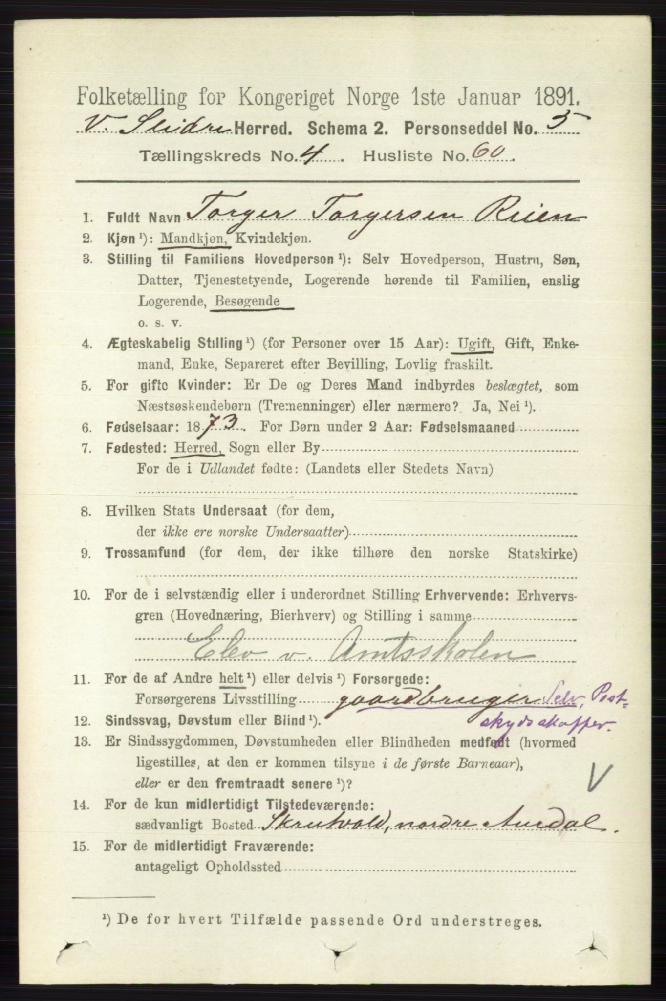 RA, 1891 census for 0543 Vestre Slidre, 1891, p. 1608