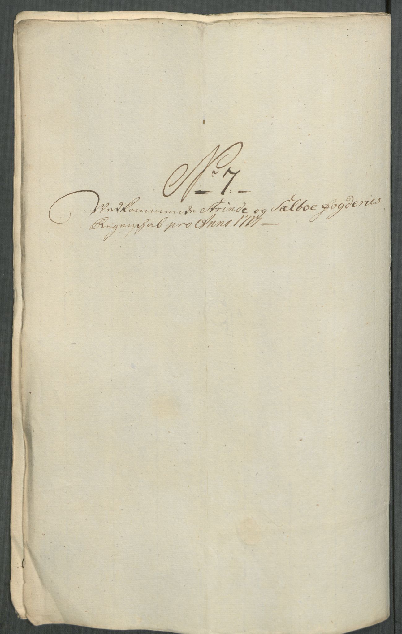 Rentekammeret inntil 1814, Reviderte regnskaper, Fogderegnskap, RA/EA-4092/R61/L4116: Fogderegnskap Strinda og Selbu, 1717-1718, p. 106