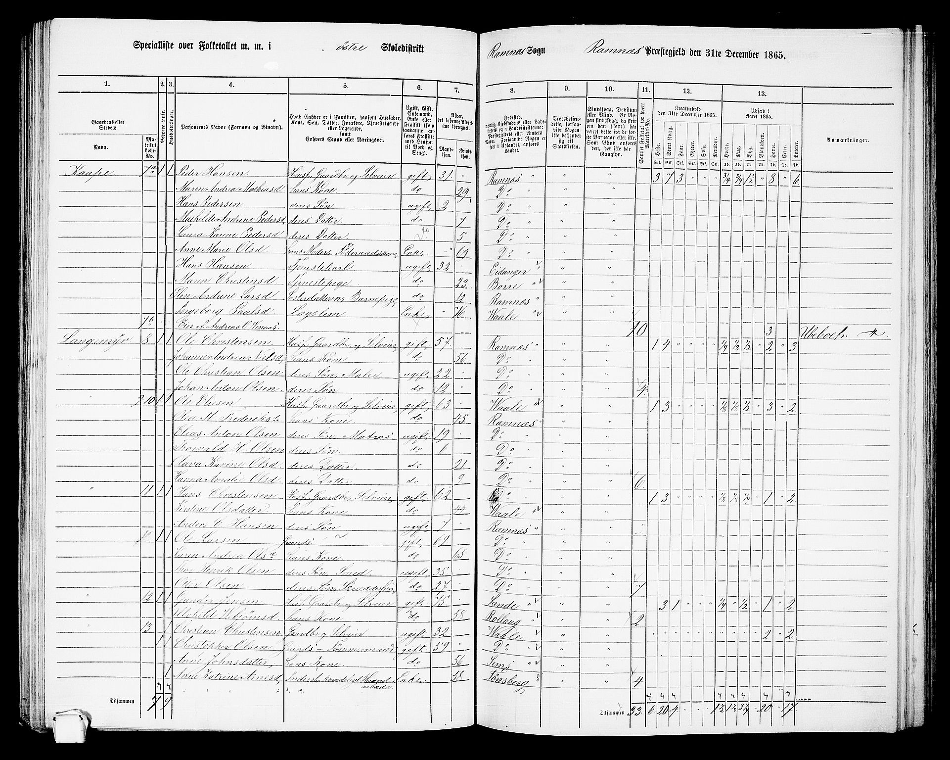 RA, 1865 census for Ramnes, 1865, p. 42