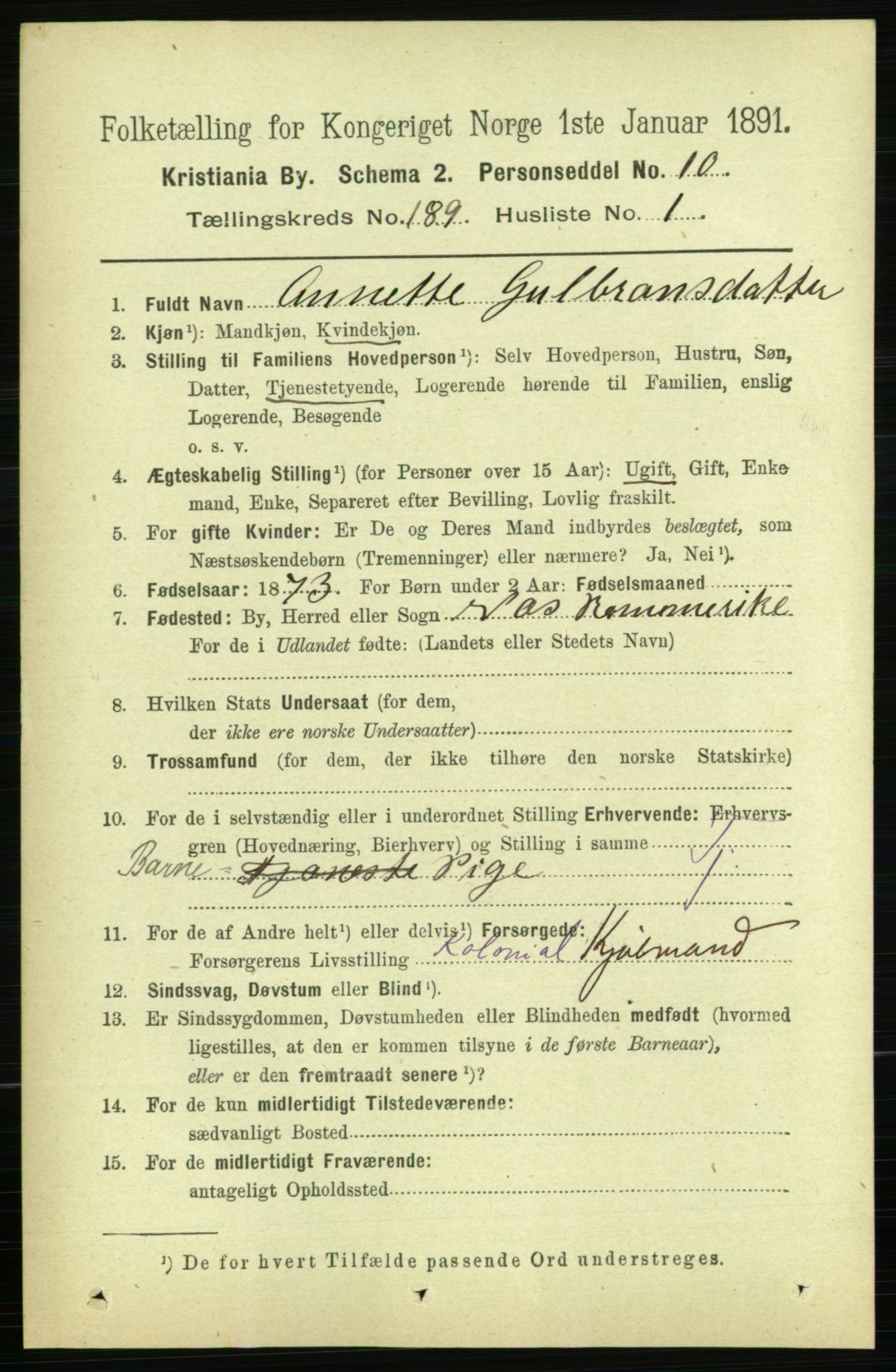 RA, 1891 census for 0301 Kristiania, 1891, p. 113199