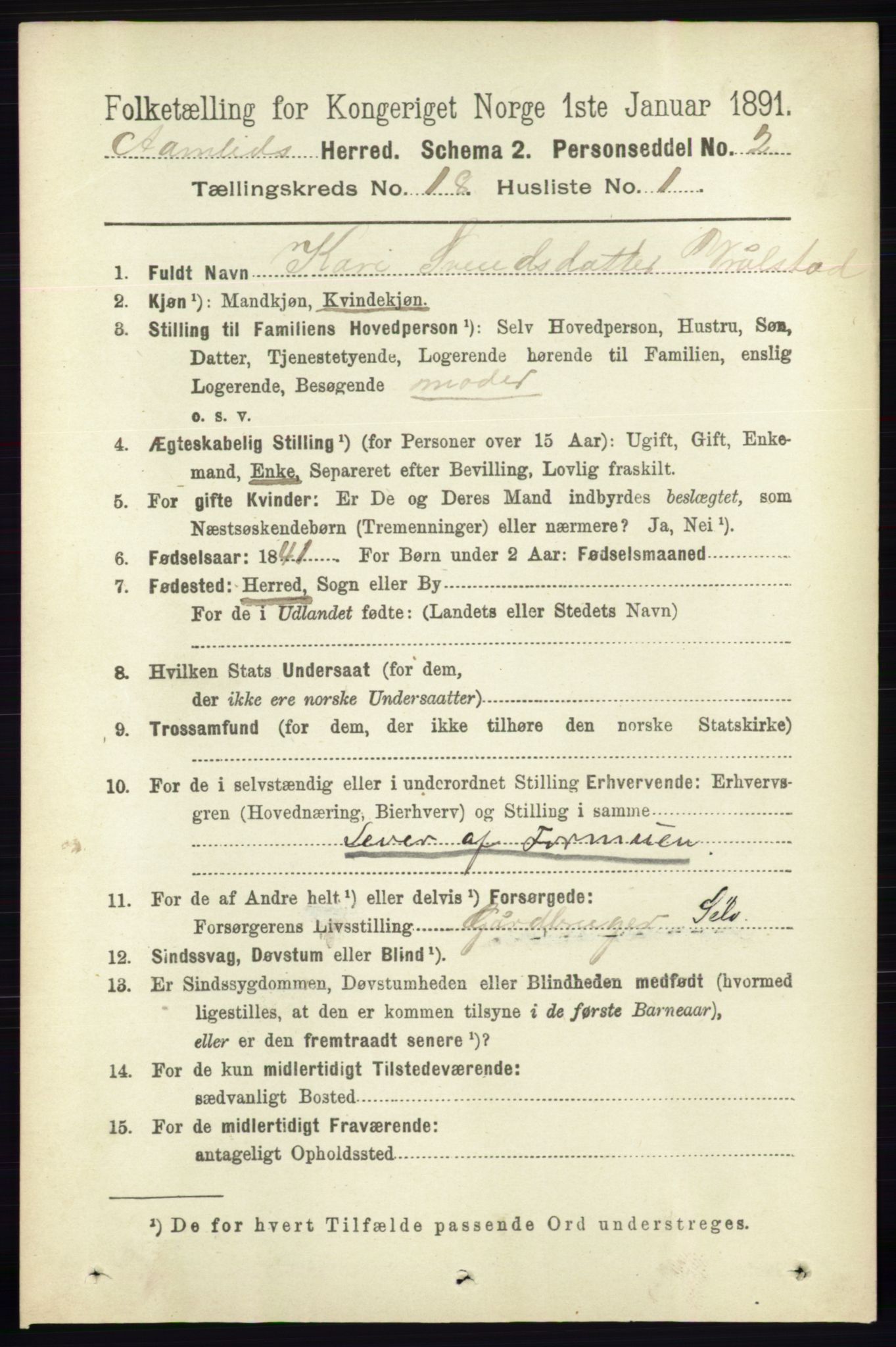 RA, 1891 census for 0929 Åmli, 1891, p. 3003