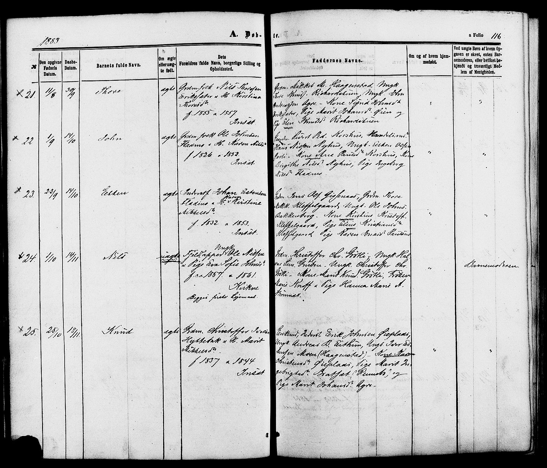 Kvikne prestekontor, AV/SAH-PREST-064/H/Ha/Haa/L0006: Parish register (official) no. 6, 1863-1886, p. 116