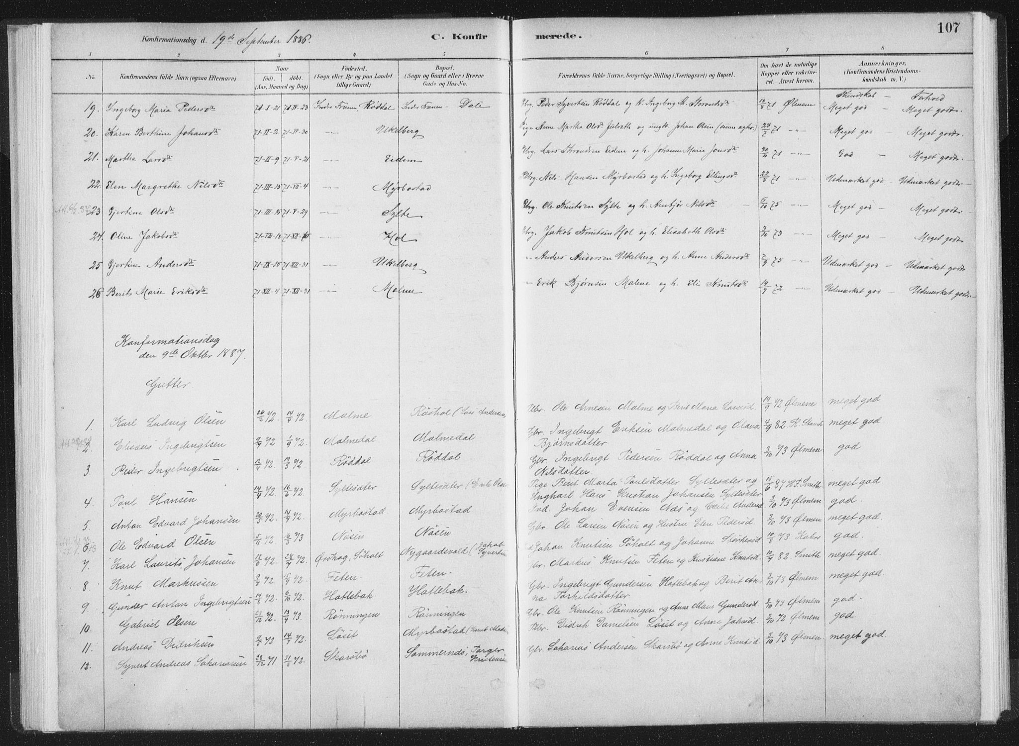 Ministerialprotokoller, klokkerbøker og fødselsregistre - Møre og Romsdal, AV/SAT-A-1454/564/L0740: Parish register (official) no. 564A01, 1880-1899, p. 107