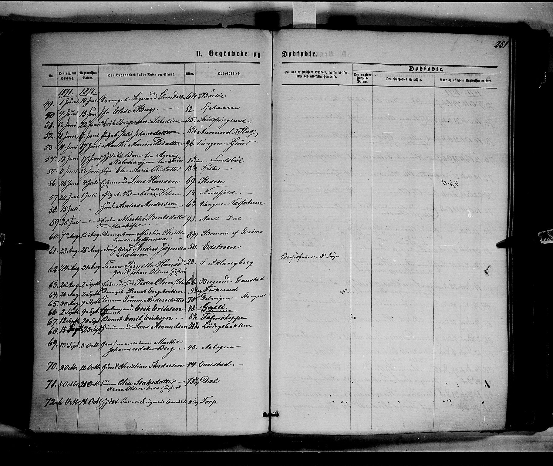 Eidskog prestekontor, AV/SAH-PREST-026/H/Ha/Haa/L0002: Parish register (official) no. 2, 1867-1878, p. 251