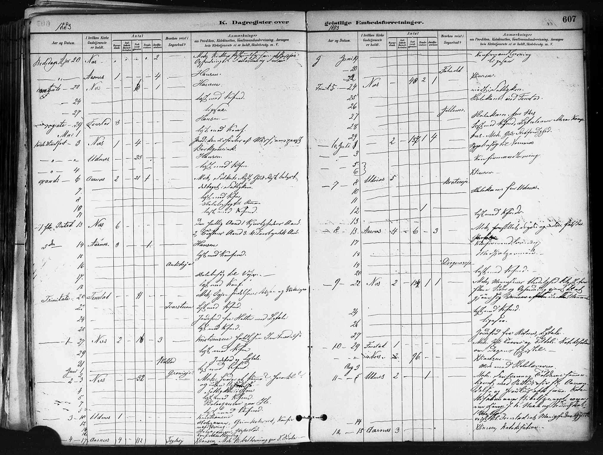 Nes prestekontor Kirkebøker, AV/SAO-A-10410/F/Fa/L0010: Parish register (official) no. I 10, 1883-1898, p. 607