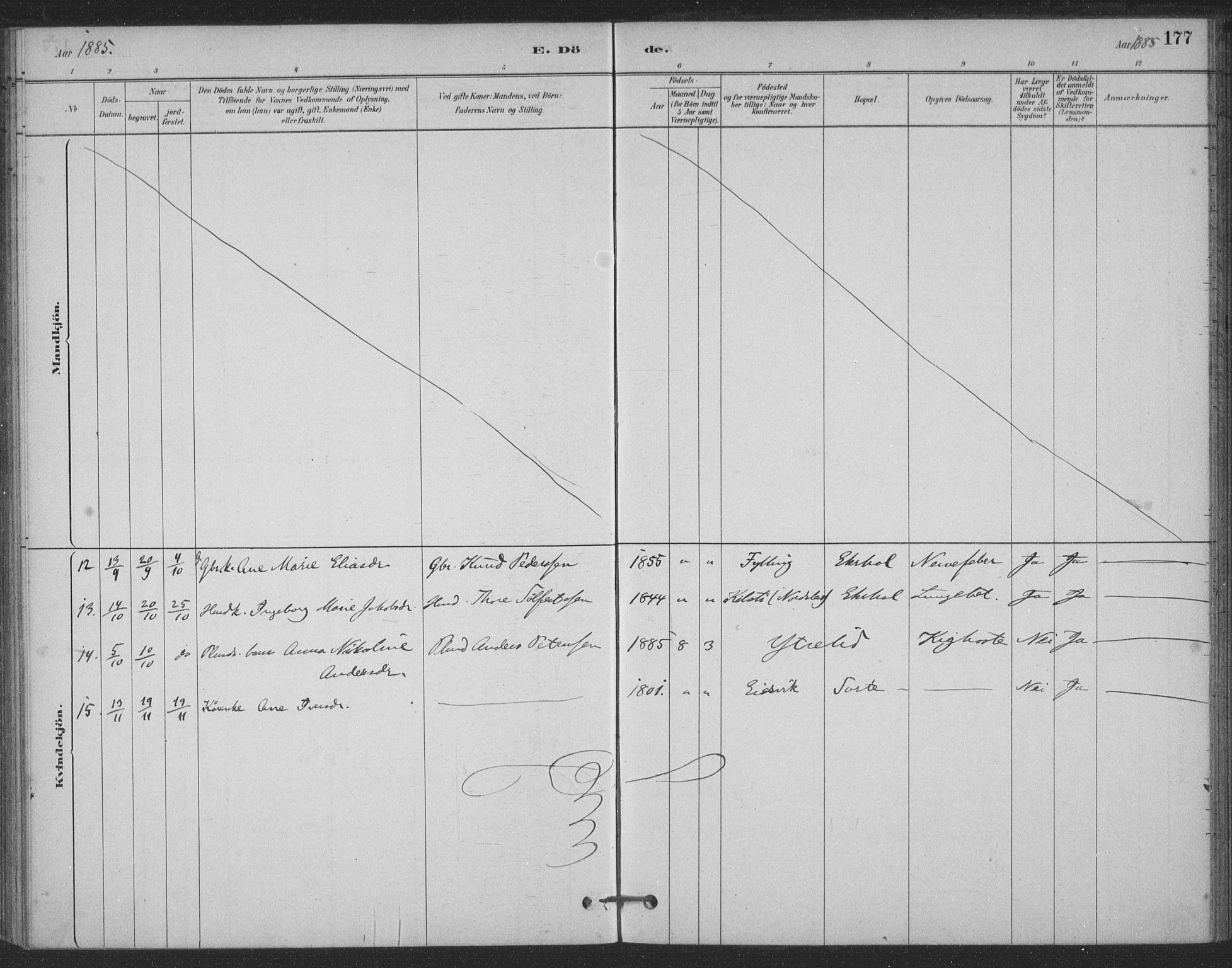 Ministerialprotokoller, klokkerbøker og fødselsregistre - Møre og Romsdal, AV/SAT-A-1454/524/L0356: Parish register (official) no. 524A08, 1880-1899, p. 177