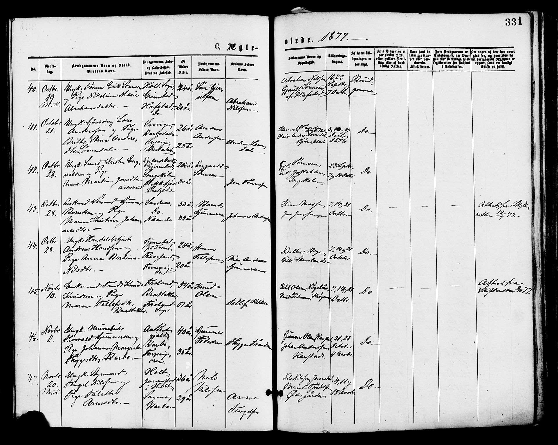 Barbu sokneprestkontor, AV/SAK-1111-0003/F/Fa/L0001: Parish register (official) no. A 1 /2, 1877-1877, p. 331